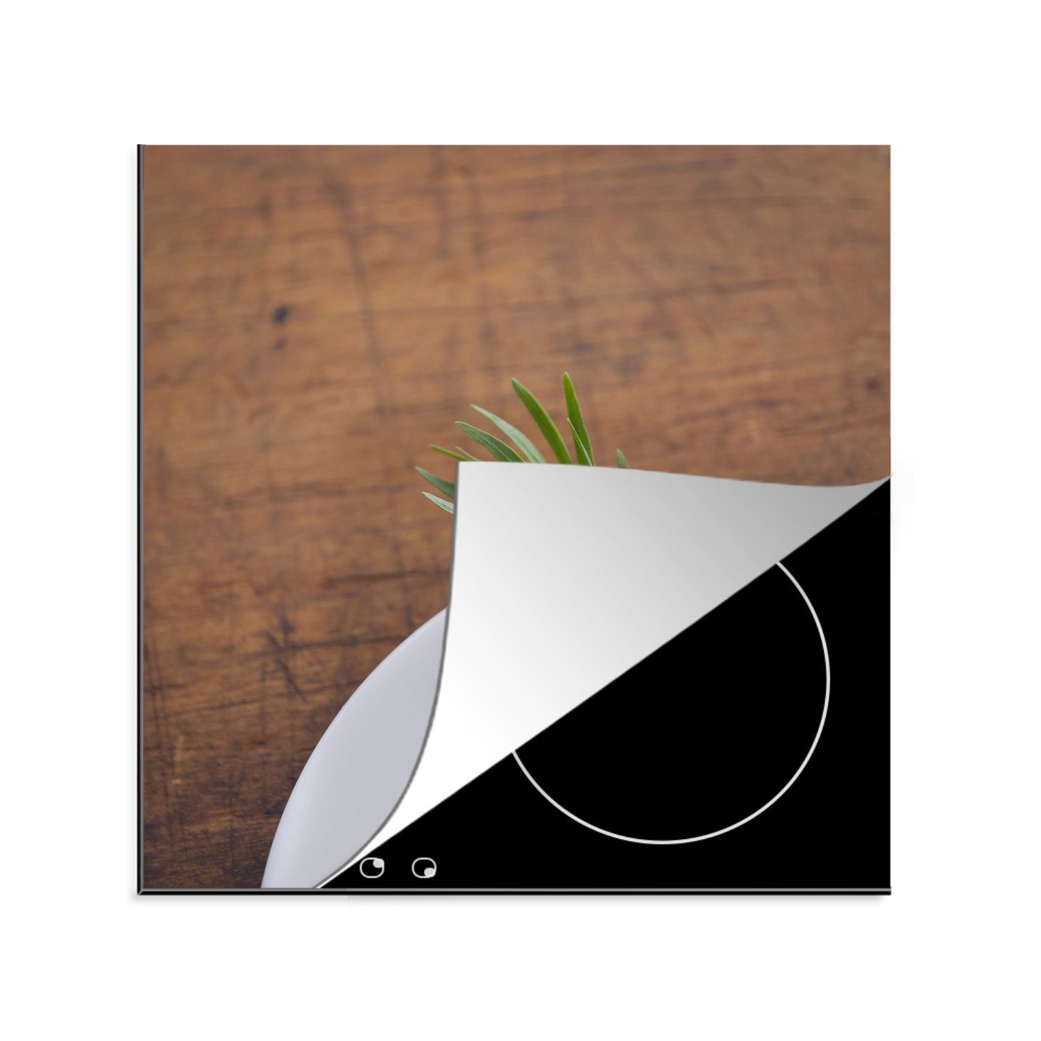 MuchoWow Herdblende-/Abdeckplatte Weiße Muskelschale mit einer einsamen Estragonpflanze auf einem, Vinyl, (1 tlg), 78x78 cm, Ceranfeldabdeckung, Arbeitsplatte für küche