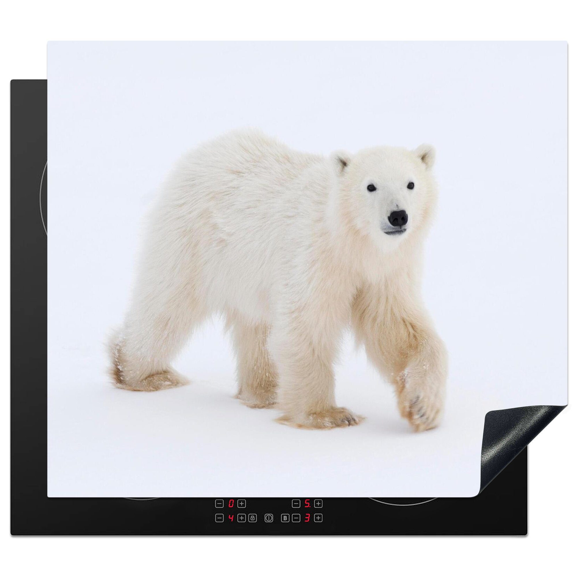 MuchoWow Herdblende-/Abdeckplatte Eisbär - Schnee - Weiß, Vinyl, (1 tlg), 59x52 cm, Ceranfeldabdeckung für die küche, Induktionsmatte