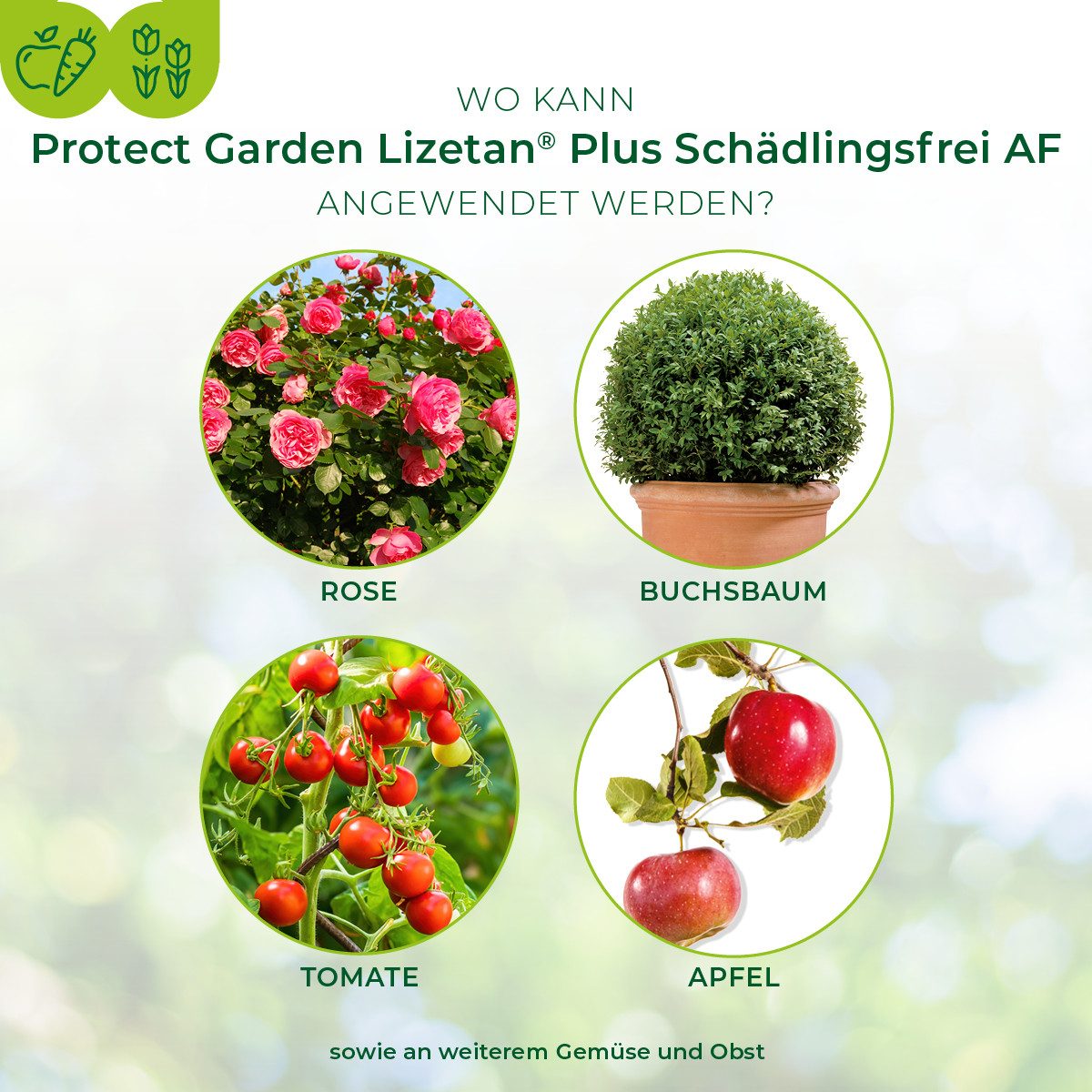 Protect Garden Insektenspray Lizetan Plus Schädlingsfrei AF - 800 ml, 800 ml