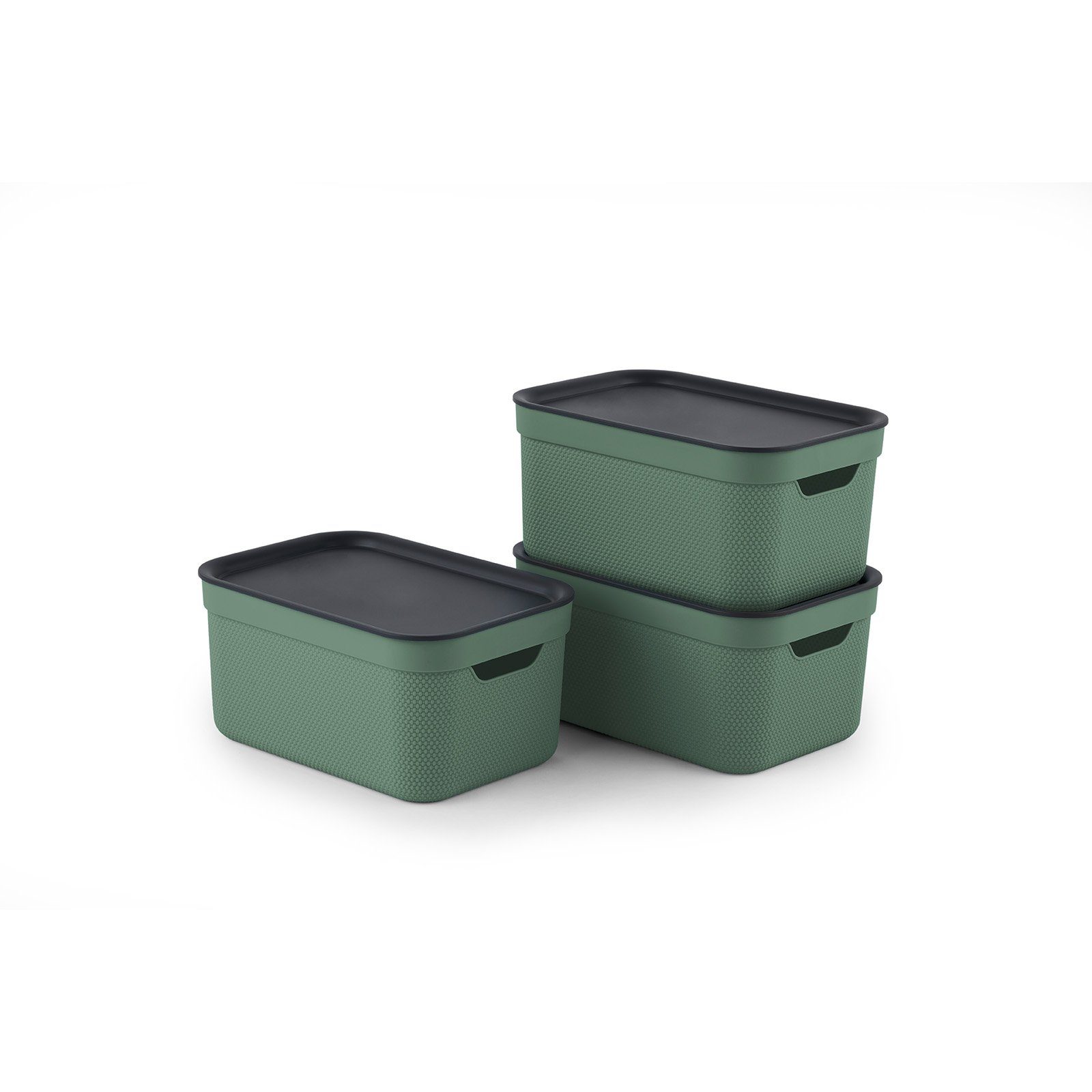 ROTHO Aufbewahrungsbox Jive Dekobox 3er-Set Aufbewahrungskorb 5l mit Deckel (Aufbewahrungsset, 3er-Set) Sea Spray green ged.