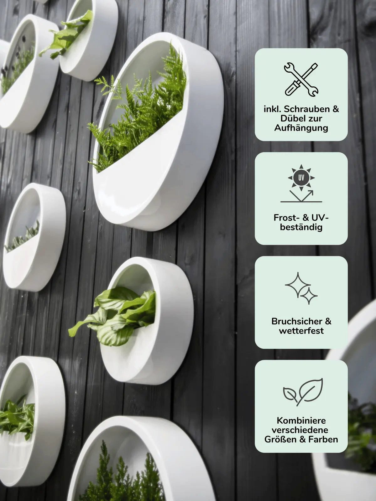 finestgreen Pflanzschale Hanging Wally, Robust & leicht – frostfest für Innen- und Außenbereich