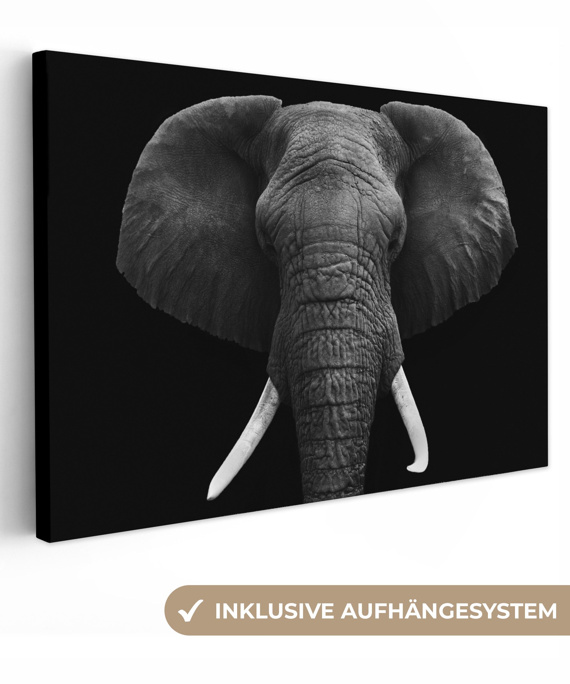 OneMillionCanvasses® Leinwandbild Elefant - Wildtiere - Schwarz - Weiß - Po günstig online kaufen