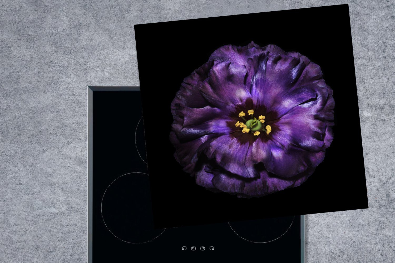 MuchoWow Herdblende-/Abdeckplatte Eine 78x78 für cm, schwarzem vor Blume (1 küche Vinyl, Arbeitsplatte Ceranfeldabdeckung, violette tlg), Hintergrund abgebildet
