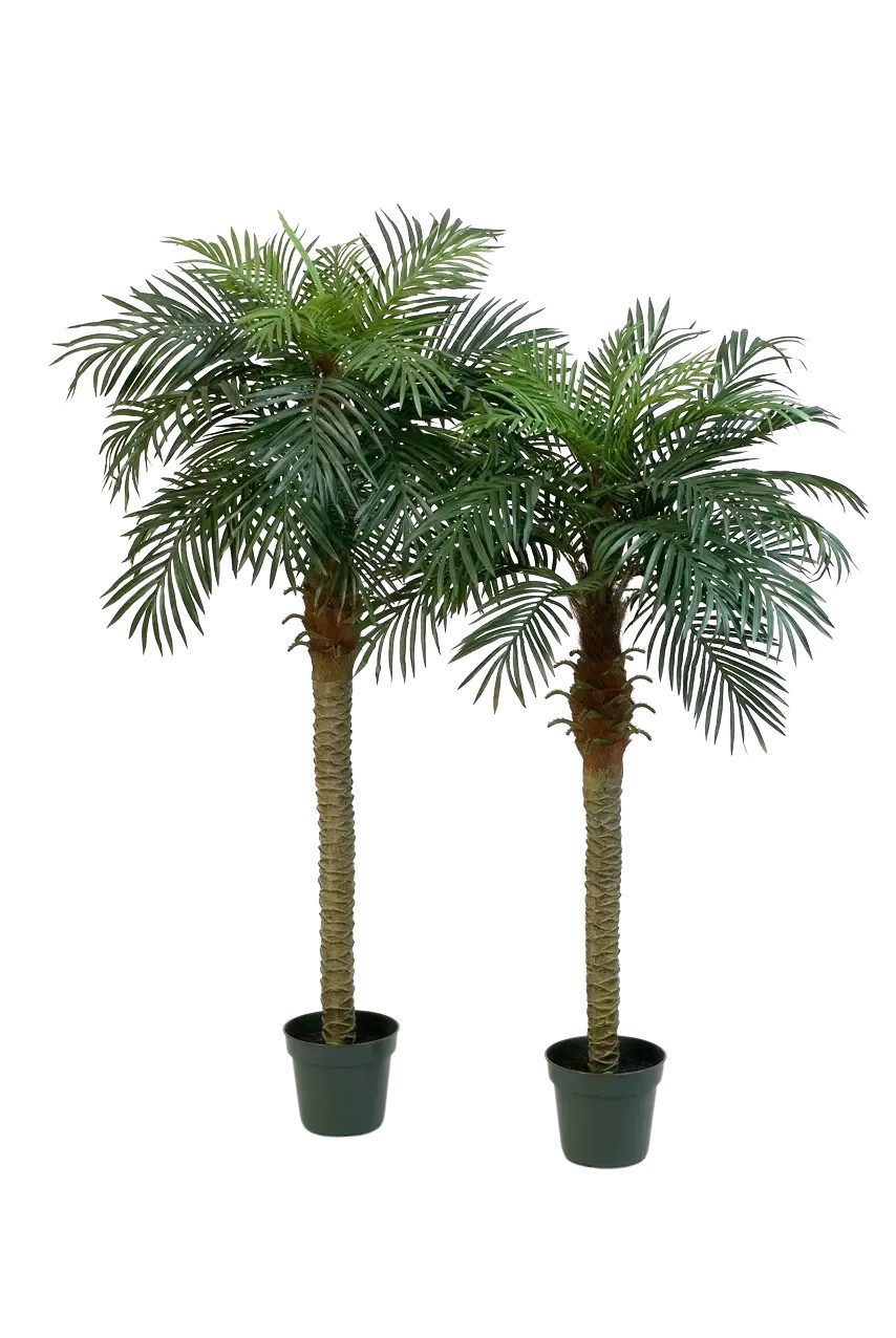 Kunstbaum Künstliche Dattelpalme - Fabienne, 180 cm, aplanta