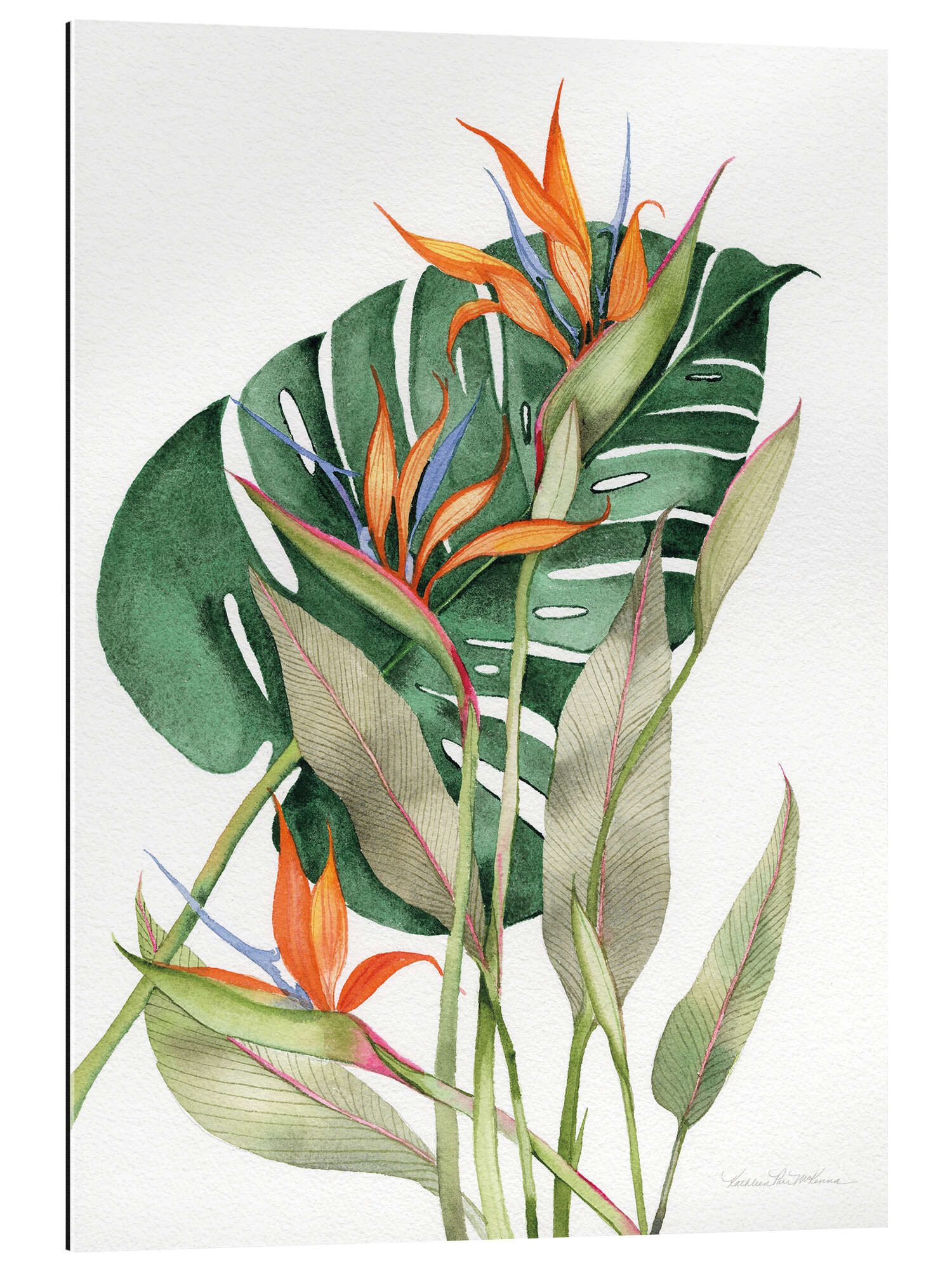 Posterlounge XXL-Wandbild Kathleen Parr McKenna, Botanische Paradiesvögel, Wohnzimmer Skandinavisch Illustration