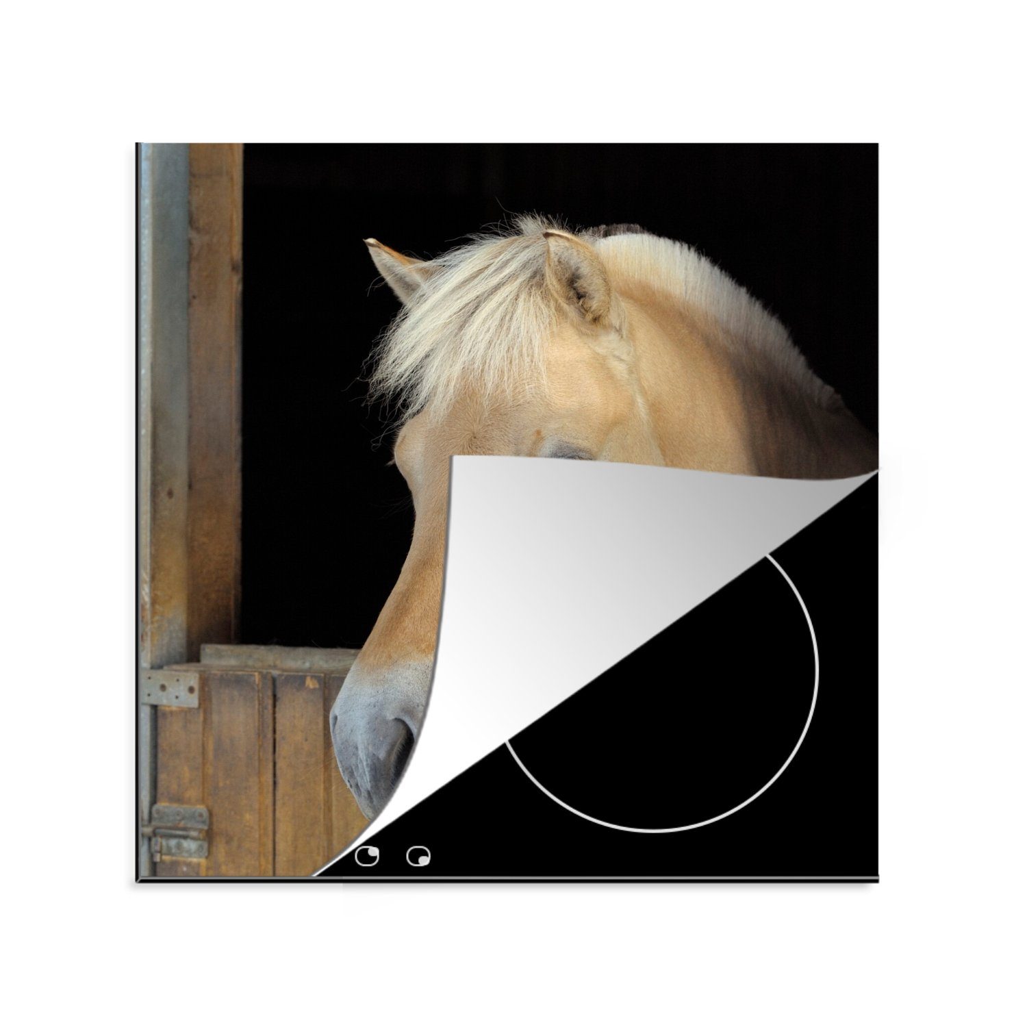 MuchoWow Herdblende-/Abdeckplatte Fjordpferd in einem Holzstall, Vinyl, (1 tlg), 78x78 cm, Ceranfeldabdeckung, Arbeitsplatte für küche | Herdabdeckplatten