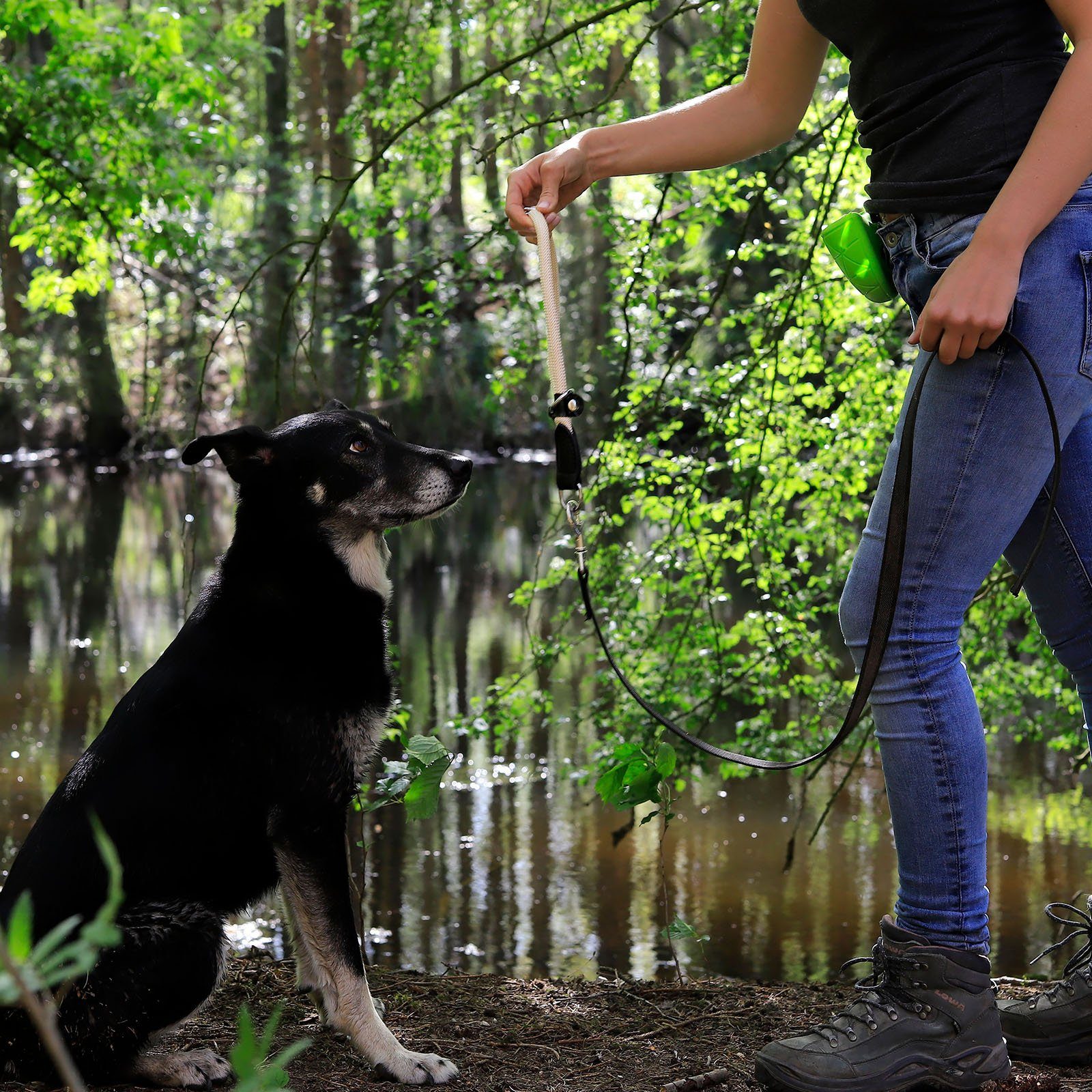 lionto Hunde-Halsband mit Zugstopp, Retrieverhalsband, Nylon, verstellbar & leicht mit Stoppring