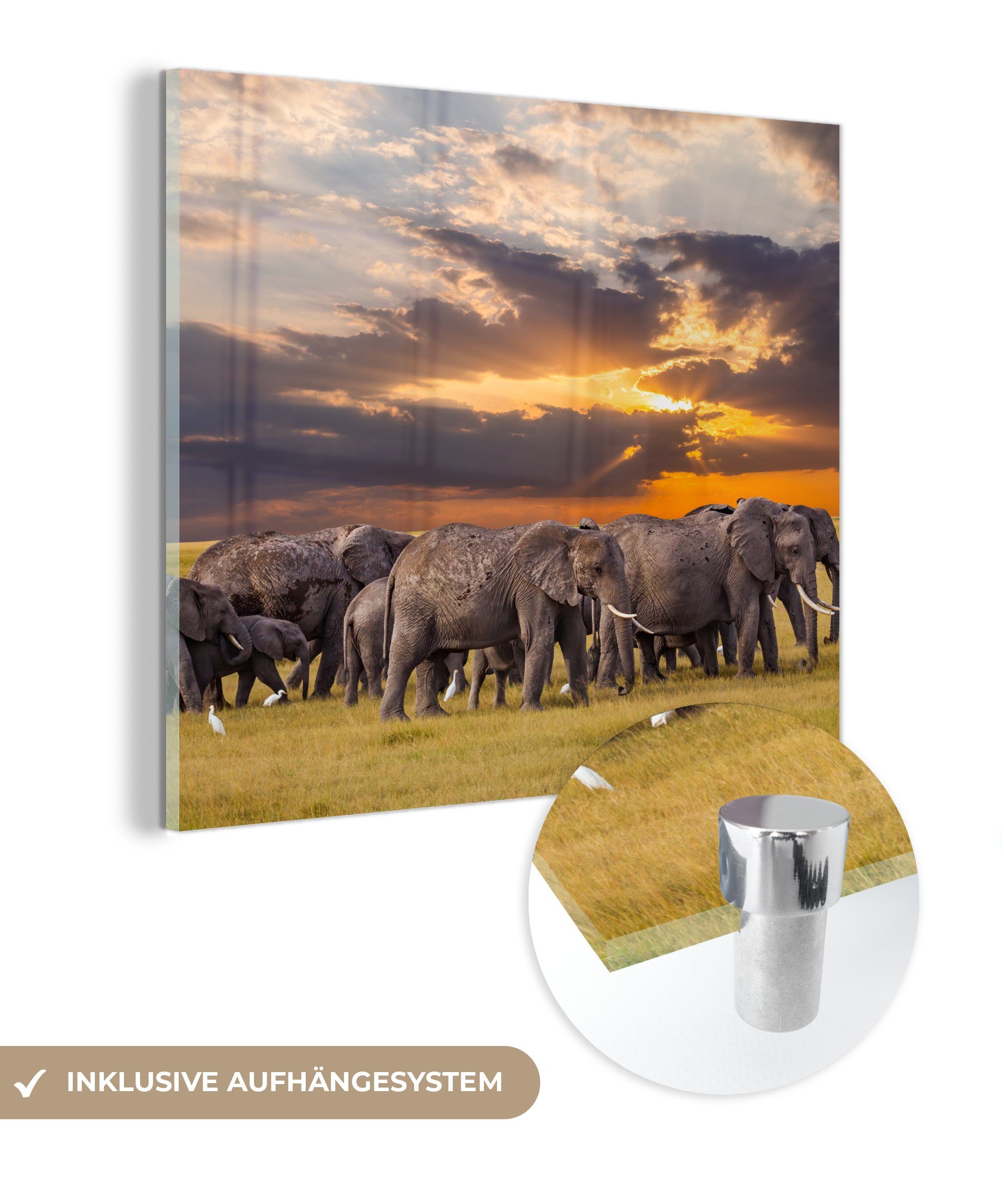 MuchoWow Acrylglasbild Elefant - Tiere - Gras - Sonnenuntergang - Natur, (1 St), Glasbilder - Bilder auf Glas Wandbild - Foto auf Glas - Wanddekoration