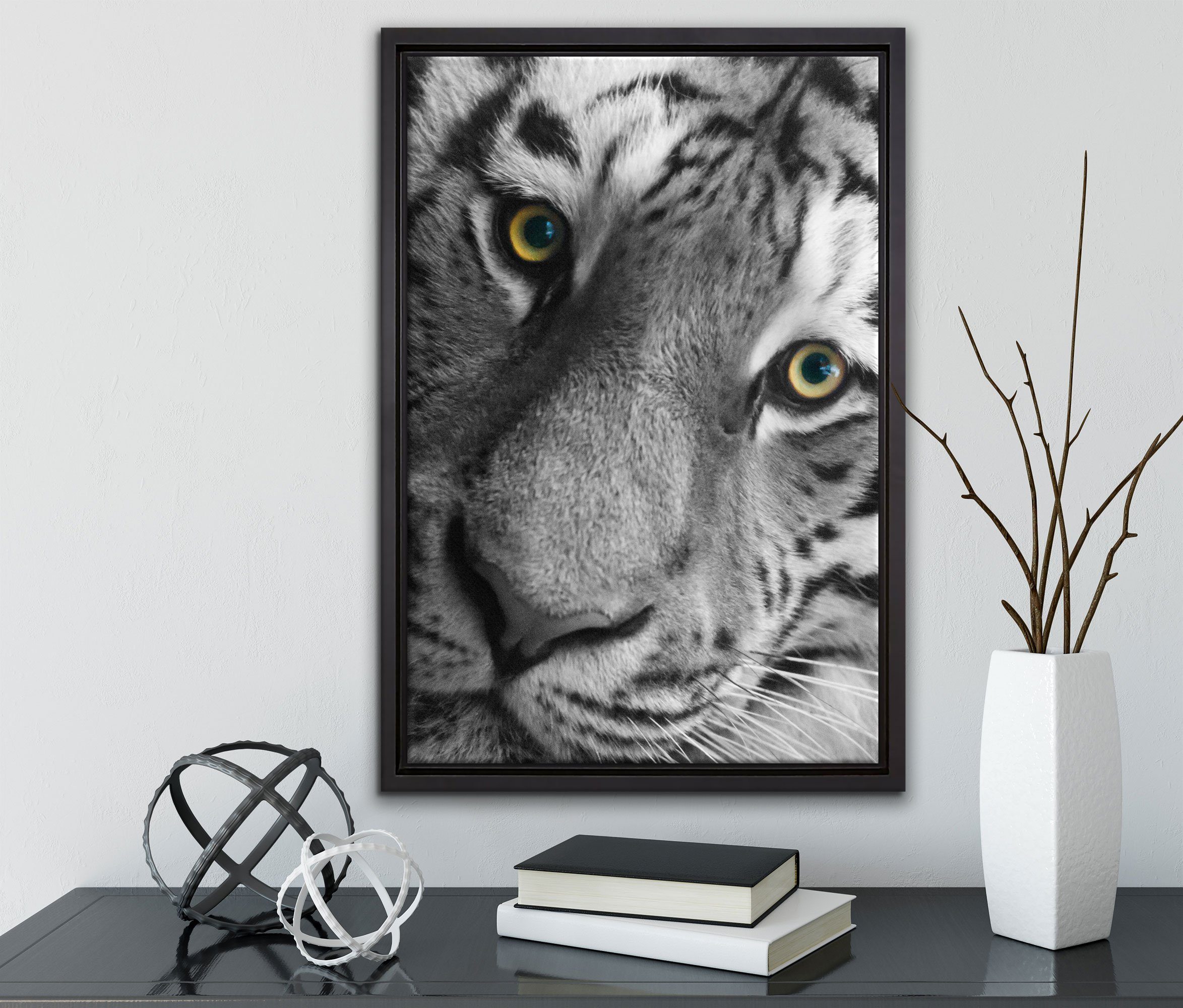 gefasst, Schattenfugen-Bilderrahmen Tiger, einem Leinwandbild fertig Wanddekoration (1 Zackenaufhänger in Leinwandbild Pixxprint bildschöner St), bespannt, inkl.