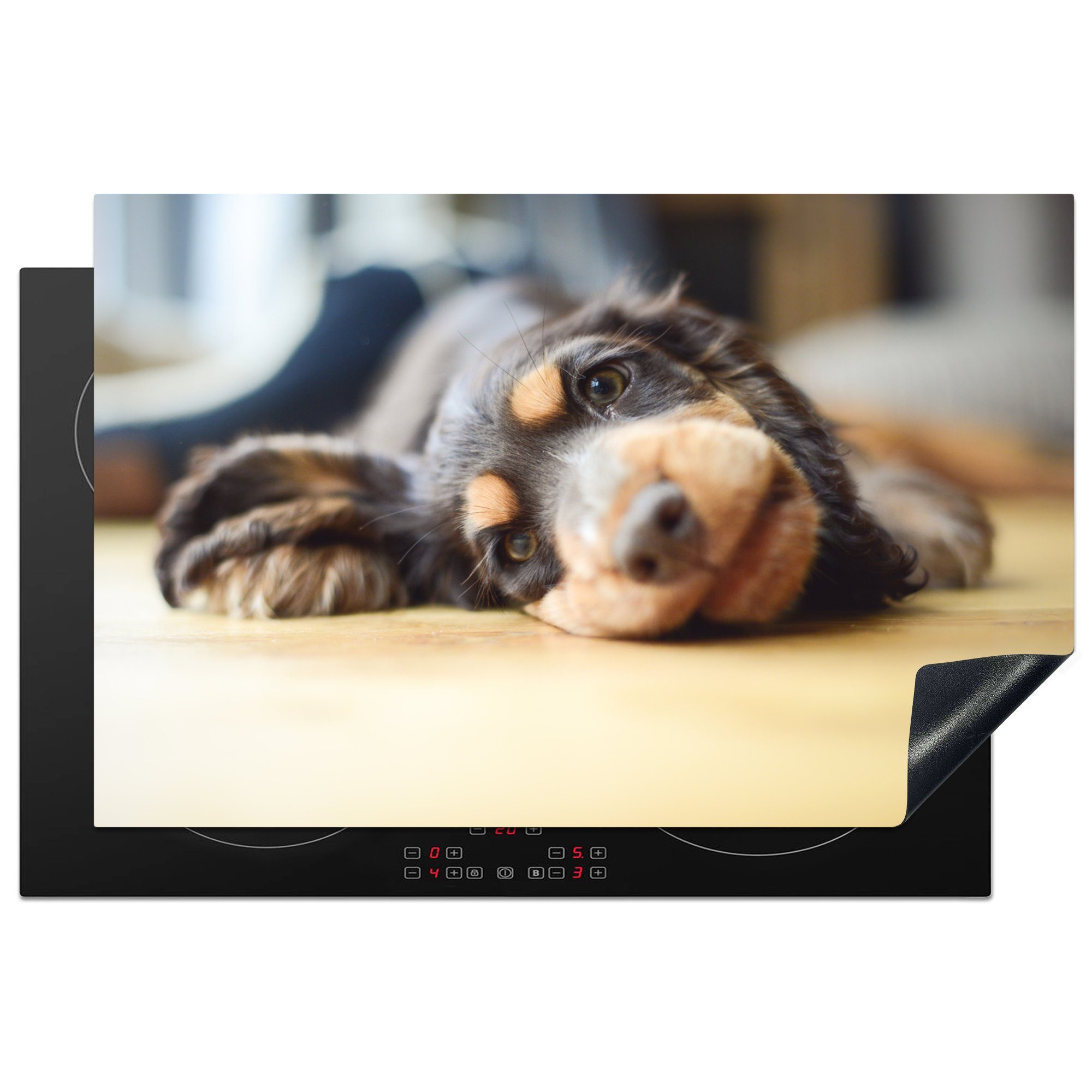 MuchoWow Herdblende-/Abdeckplatte Hund auf dem Boden liegend, Vinyl, (1 tlg), 81x52 cm, Induktionskochfeld Schutz für die küche, Ceranfeldabdeckung
