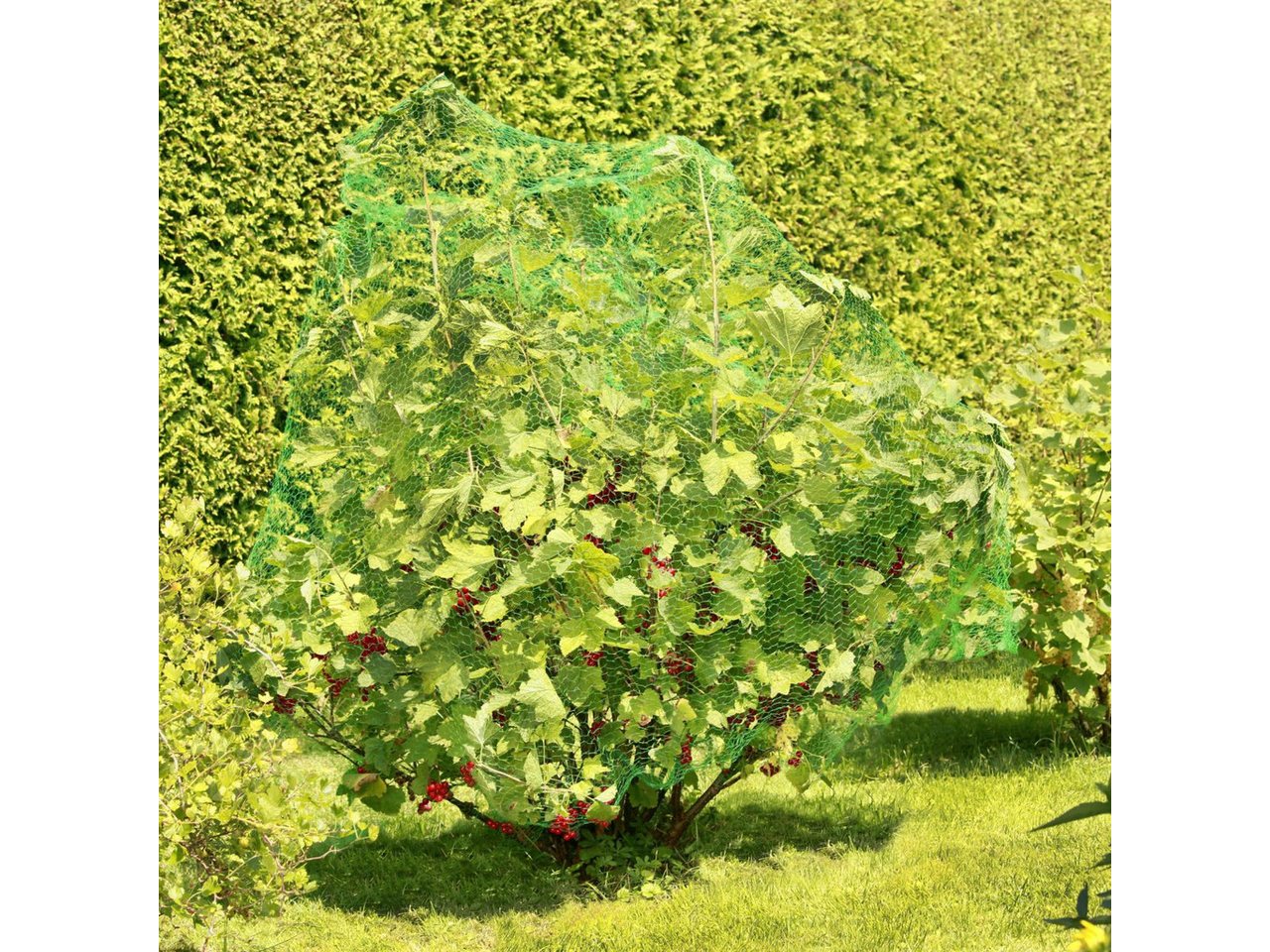 Thumbnail - Windhager Vogelkäfig Windhager Vogelschutznetz Rational 5 x 2 m