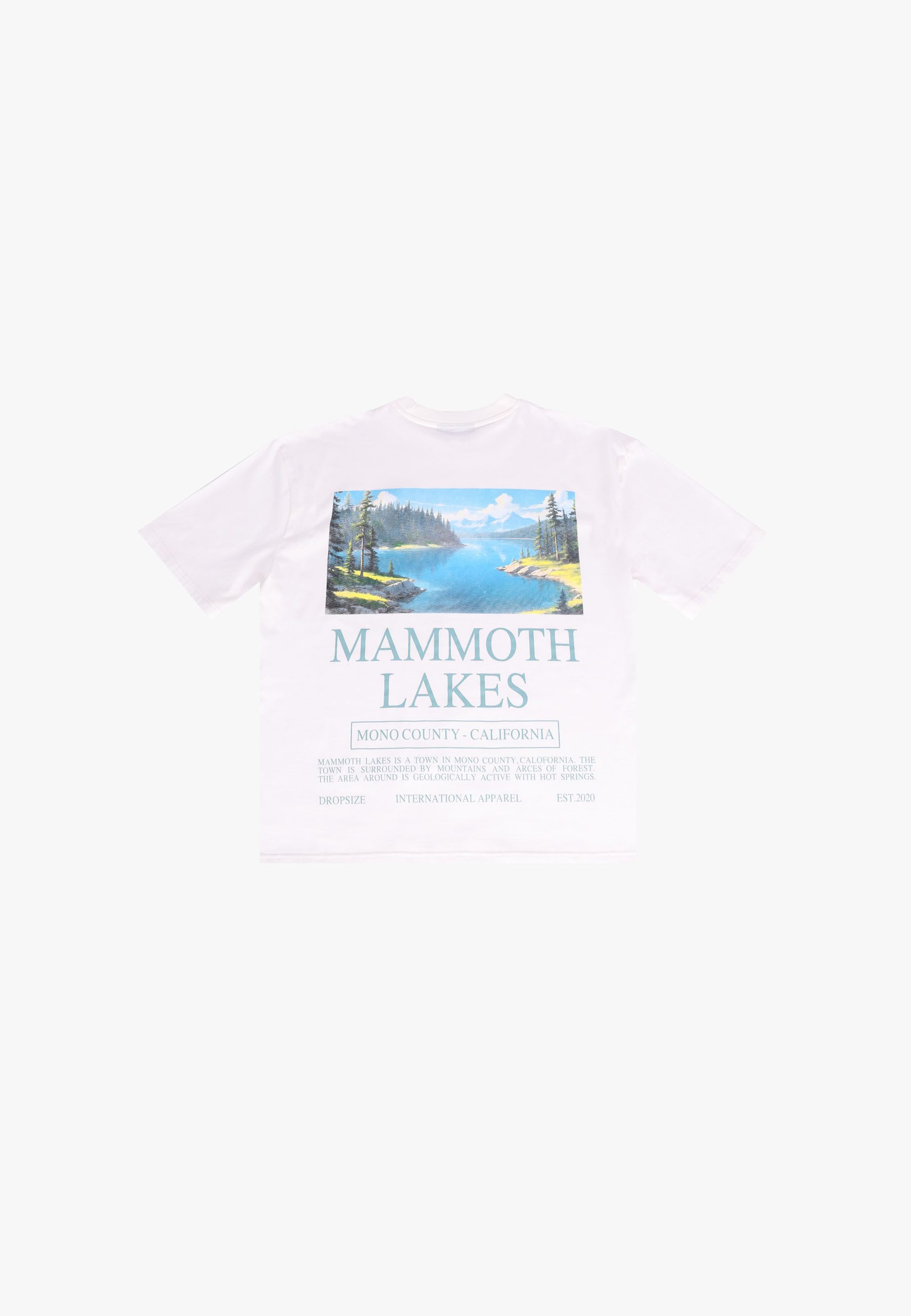 Dropsize T-Shirt Dropsize HEAVY OVERSIZE LAKES T-SHIRT (1-tlg)