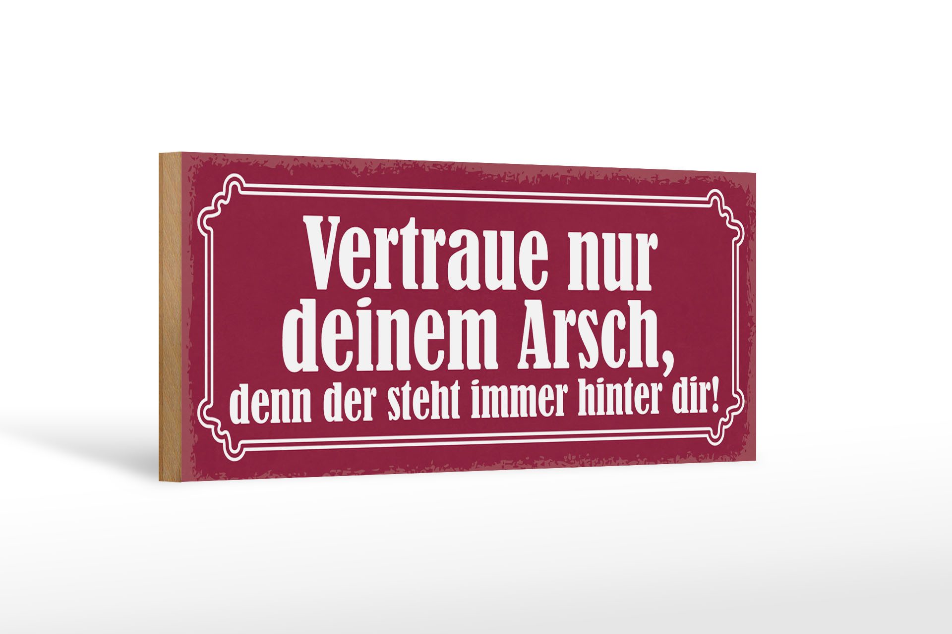Holzbild Spruch 27x10cm vertraue nur deinem Arsch denn