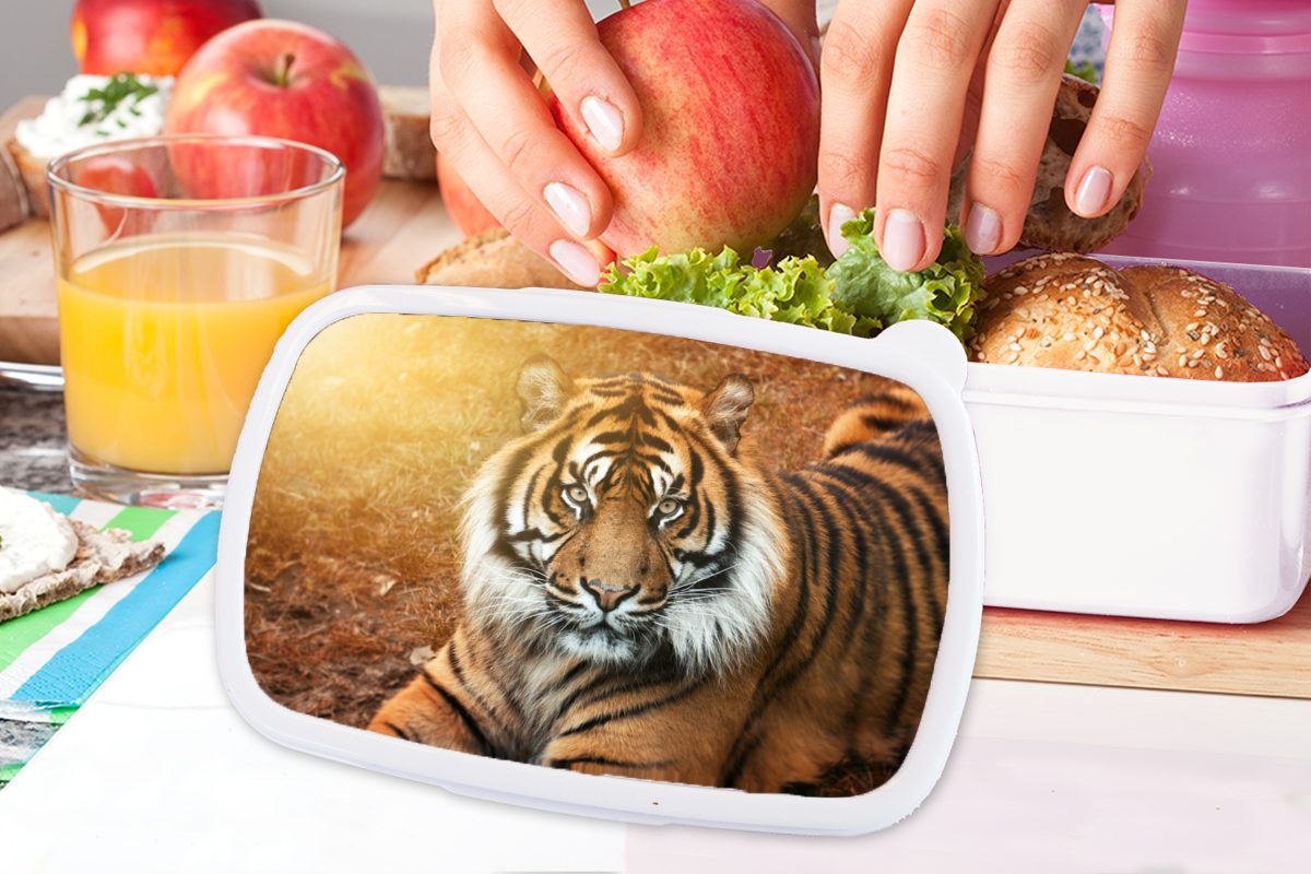 Jungs und Brotbox Sonne, Kinder Lunchbox Porträt Brotdose, für und - für Mädchen Tiger MuchoWow - (2-tlg), Kunststoff, Erwachsene, weiß