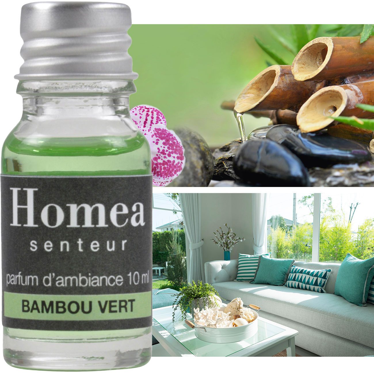 Homea Duftöl Bambus Grün (10ml) - Frischer Raumduft für Ihr Zuhause (1-St), Auch für Potpourri oder Aromabrenner geeignet