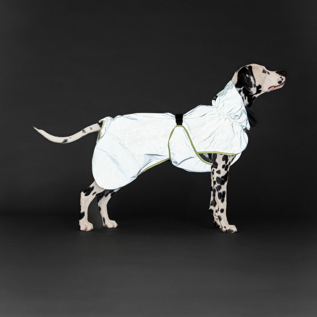 PAIKKA Hunderegenmantel Hunde Regenmantel reflektierend "Visibility Raincoat" matcha
