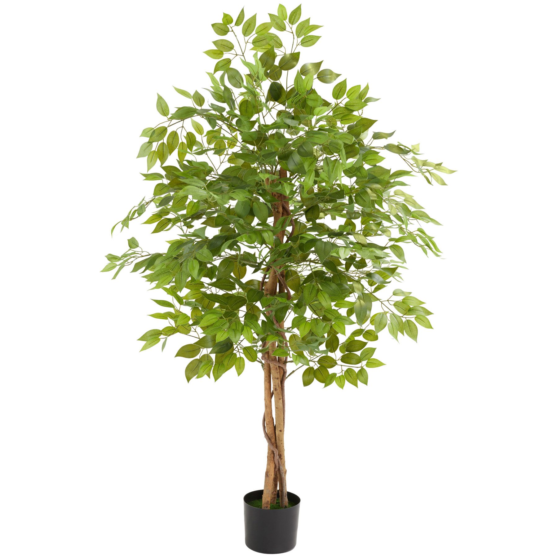 Künstliche Zimmerpflanze Künstlicher Ficusbaum, tectake, Höhe günstig online kaufen