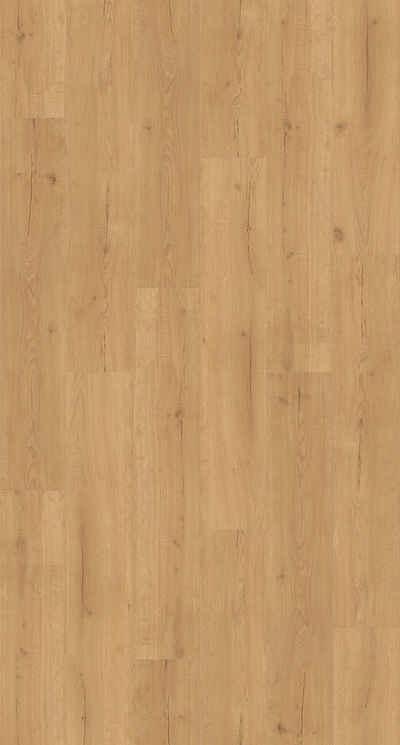 PARADOR Vinylboden »Basic 2.0 - Eiche Infinity Natur«, 122,2 x 22,9 x 0,2 cm, 4,5 m²