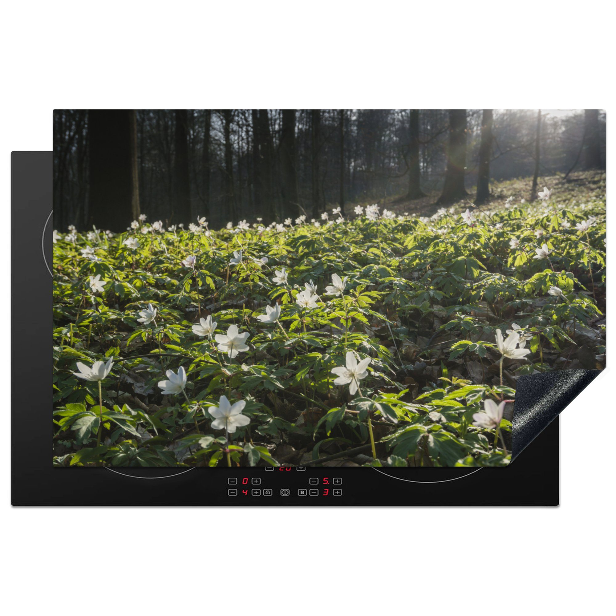 Blumen Schutz MuchoWow Ceranfeldabdeckung die 81x52 küche, - Herdblende-/Abdeckplatte für (1 tlg), Induktionskochfeld Vinyl, Wald, cm, Frühling -