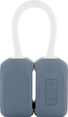 Schwaiger 661699 Portable-Lautsprecher (Bluetooth, 10 W, mit LED Leuchtband)