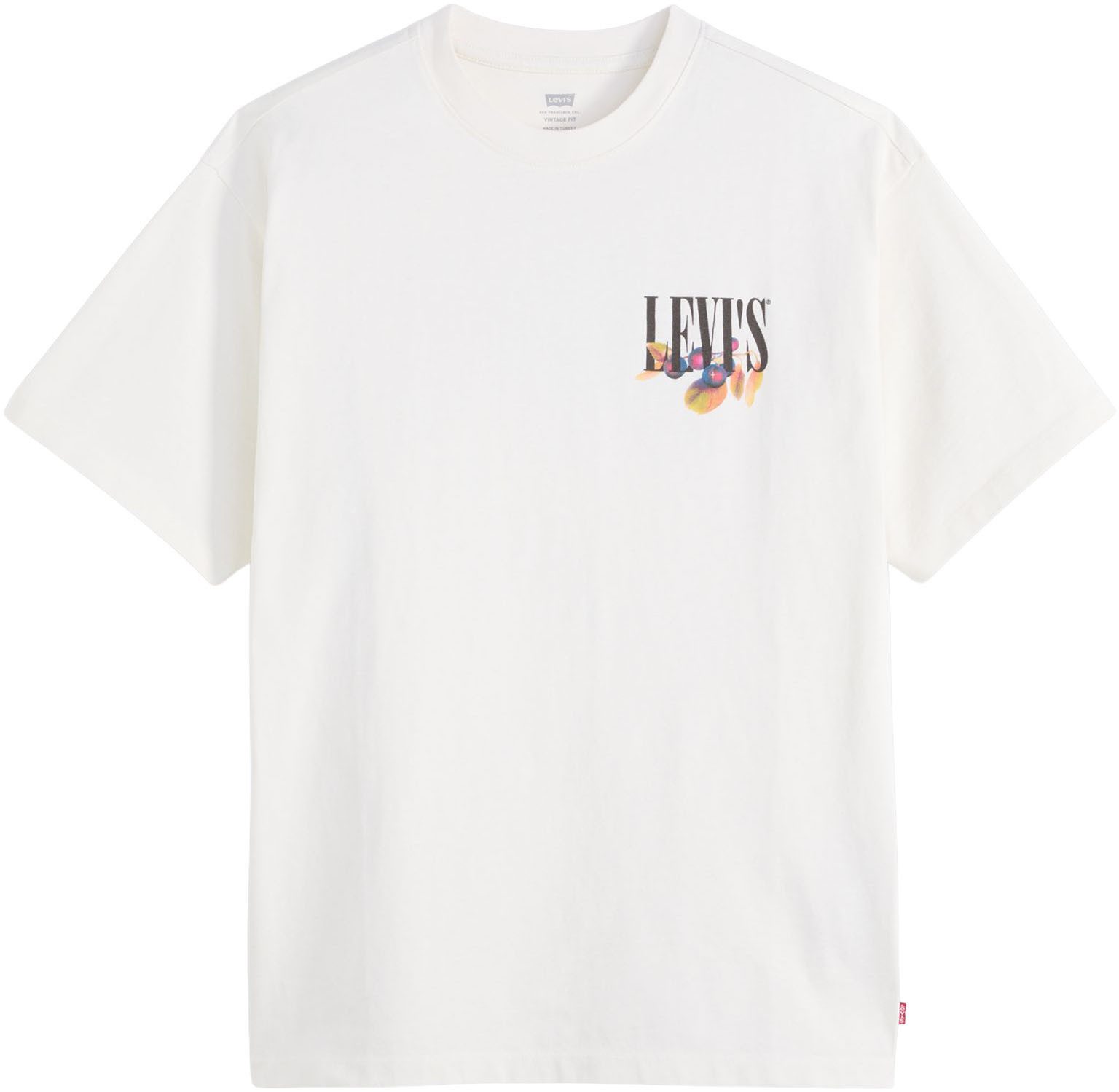 LEVIS SERIF WITH FRU 88