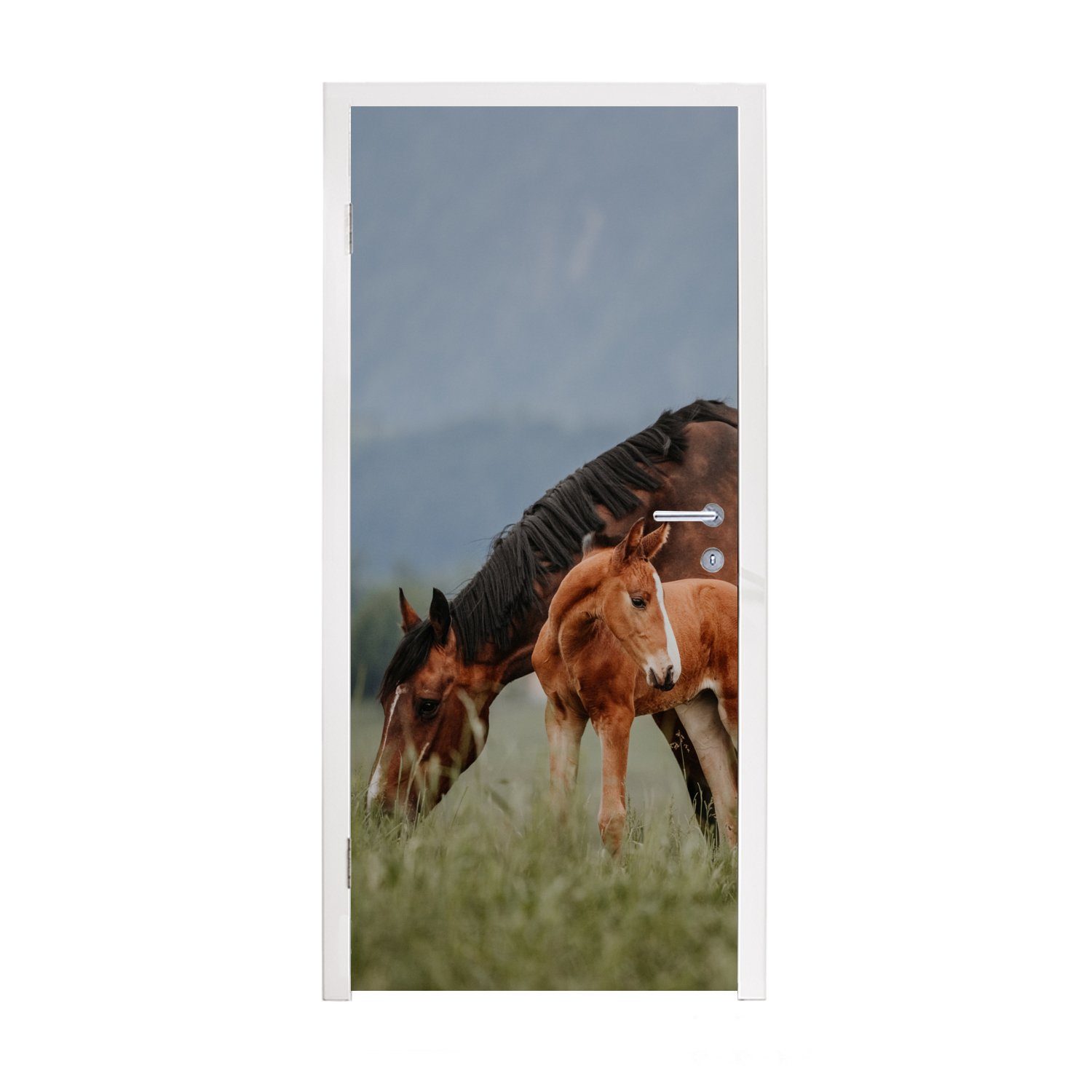 MuchoWow Türtapete Pferde - Fohlen - Natur, Matt, bedruckt, (1 St), Fototapete für Tür, Türaufkleber, 75x205 cm