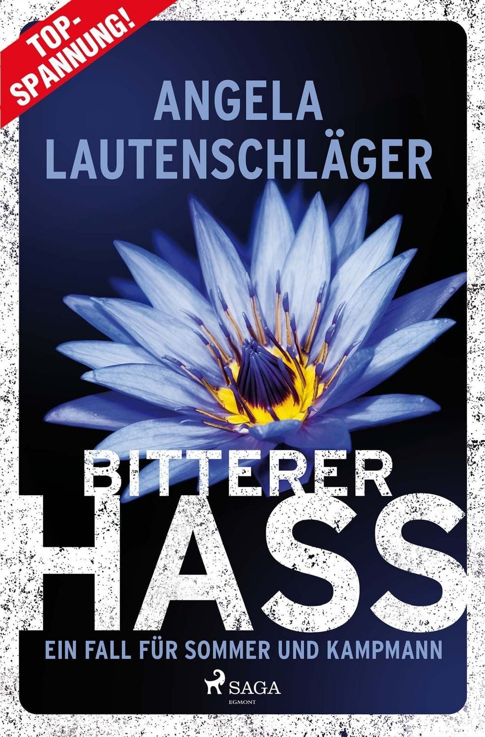 Bitterer Hass - Ein Fall für Sommer und Kampmann / Angela Lautenschläger