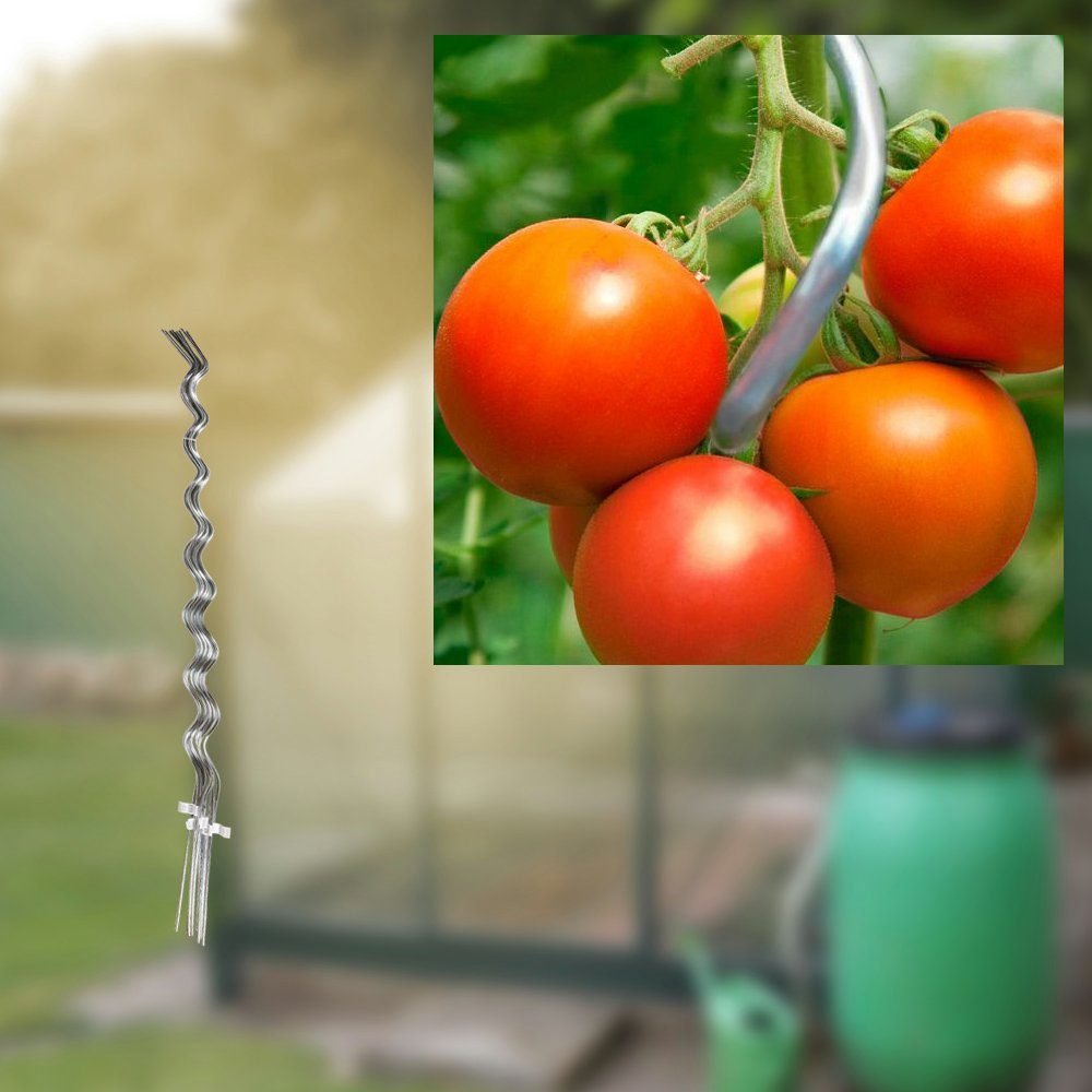 Home4Living Rankhilfe Tomatenstäbe Tomatenspiralstab Tomatenstange 10er Set Spiralstab, verzinkt, langlebig, wiederverwendbar