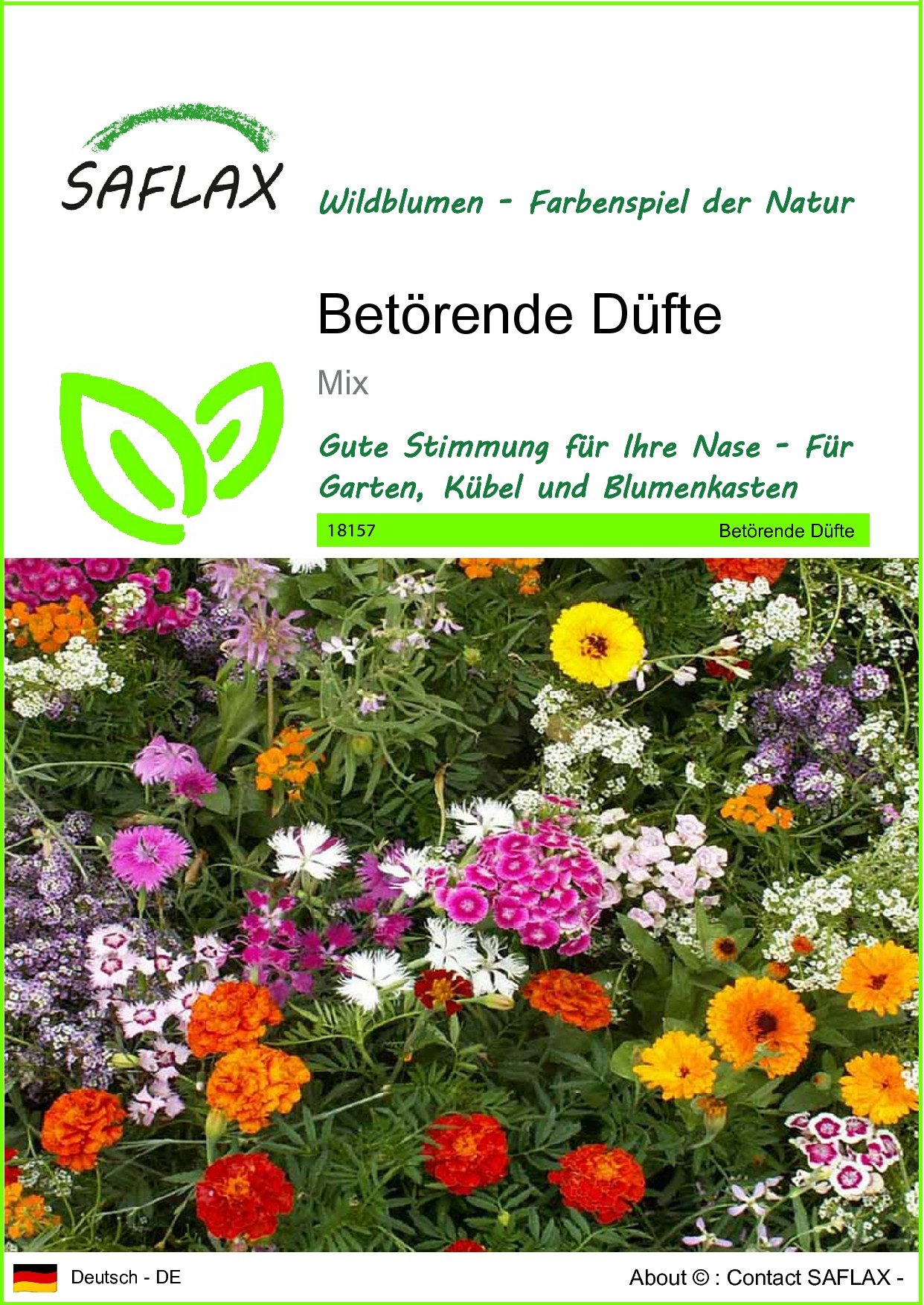 Blumensamen SAFLAX - Samen - Betörende Düfte