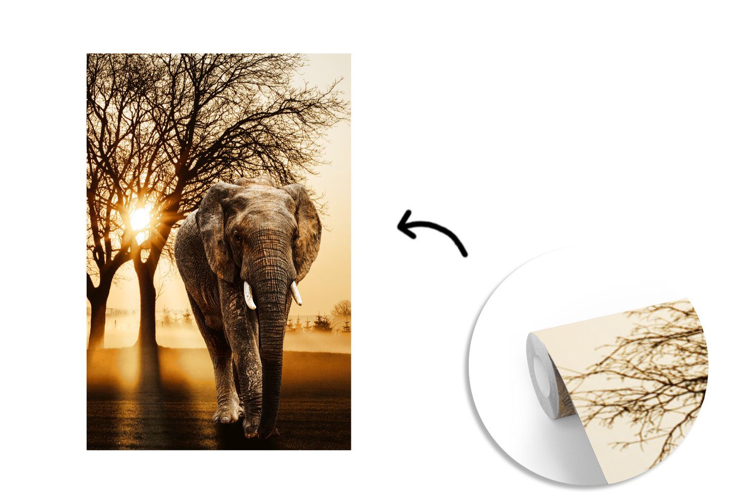 Baum Tapete Sonne, MuchoWow Matt, für Elefant bedruckt, Fototapete - Vinyl Montagefertig - St), Wandtapete (3 Wohnzimmer,