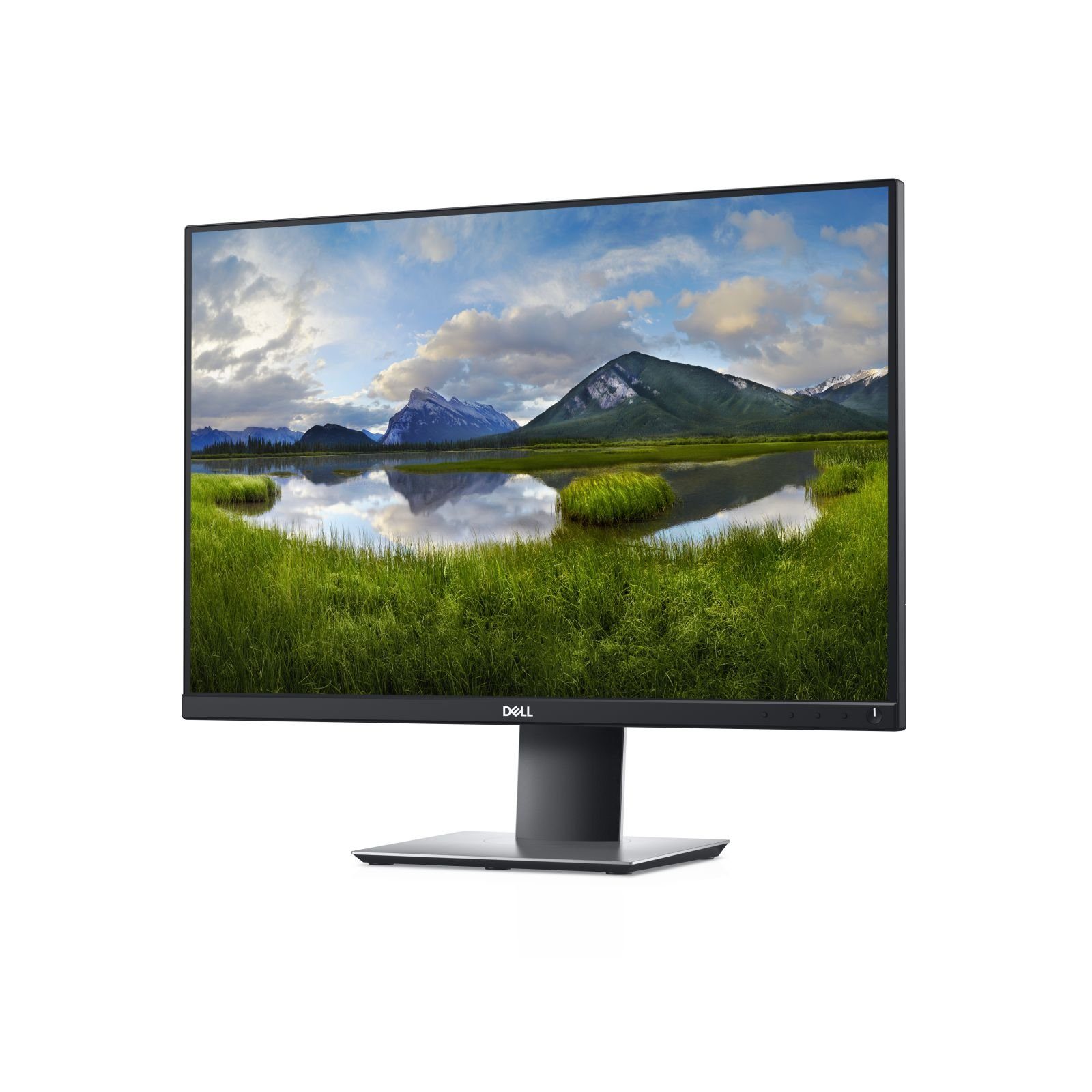 Dell TFT P2421 61cm IPS WUXGA 24/1920x1200/DP/HDMI/VGA/ TFT-Monitor (1920 x 1200 px, WUXGA, 8 ms Reaktionszeit, 60 Hz, IPS, Pivot, Höhenverstellbar)