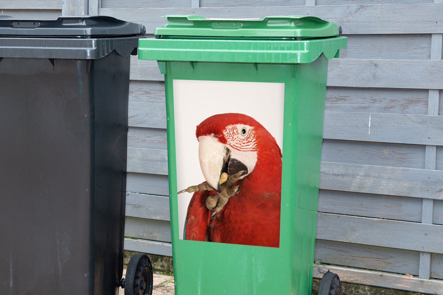 Abfalbehälter (1 Papagei St), Sticker, auf Wandsticker Mülleimer-aufkleber, Rote Hintergrund MuchoWow weißem Aras Mülltonne, Container, fressen