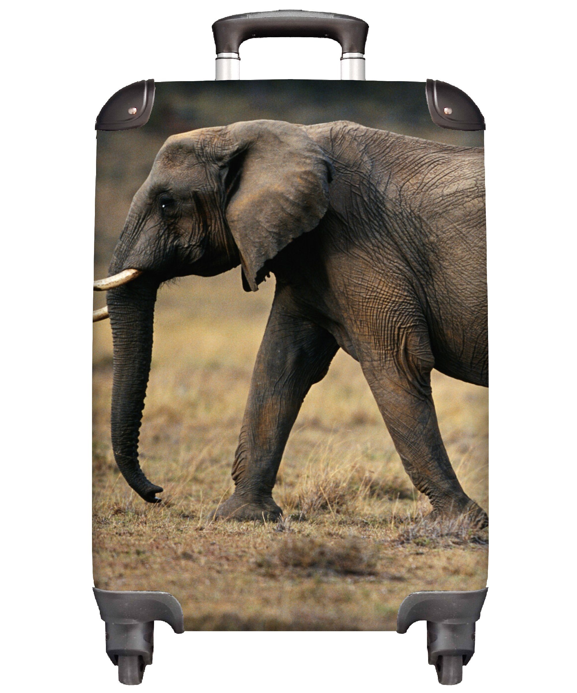 Reisetasche Rollen, rollen, Savanne - 4 mit MuchoWow Handgepäck Tiere - Handgepäckkoffer Reisekoffer für Natur, Ferien, Trolley, Elefant -