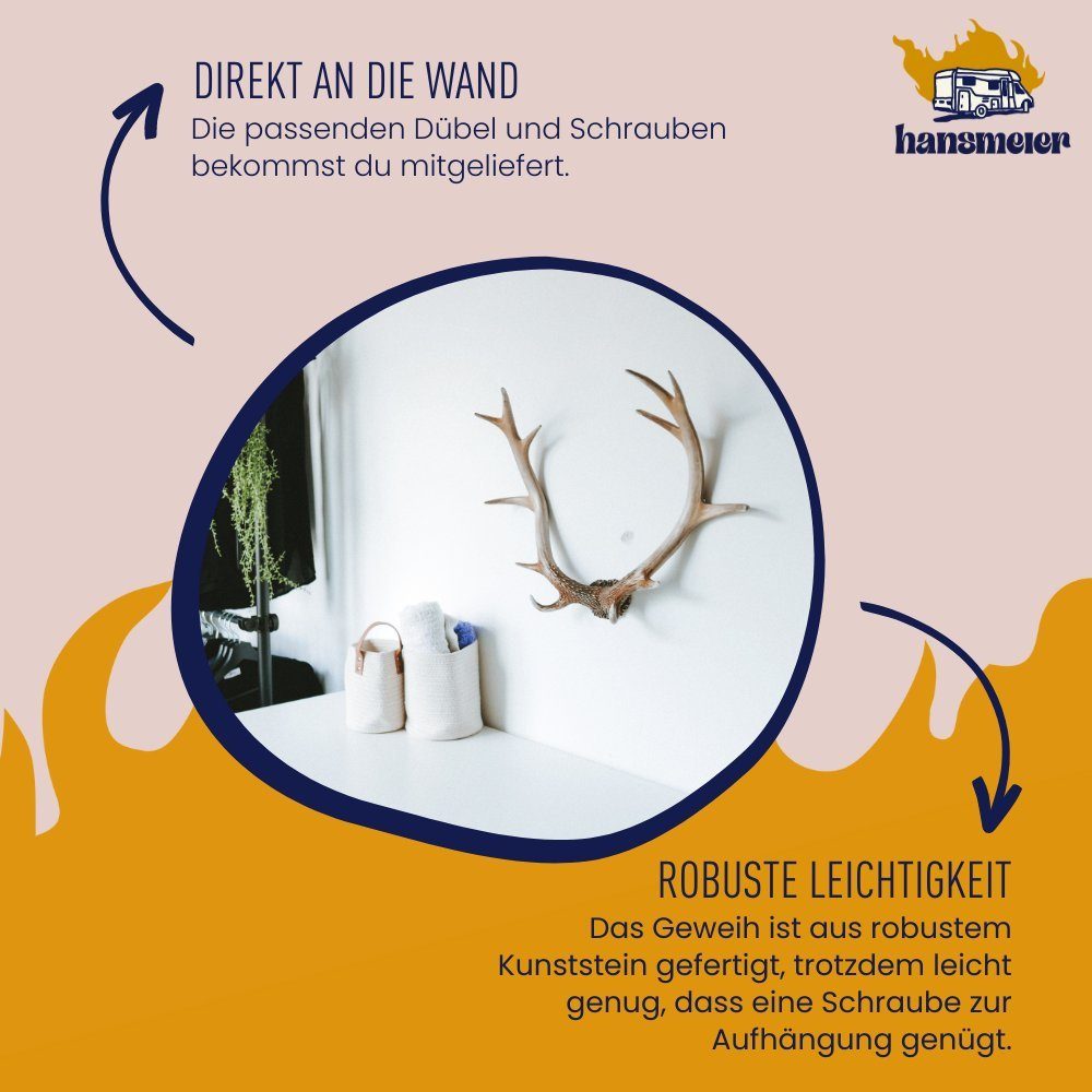 Hansmeier Wanddekoobjekt Geweih Rustikal, Für Innen & Außen Deko Hirschgeweih, Wanddeko