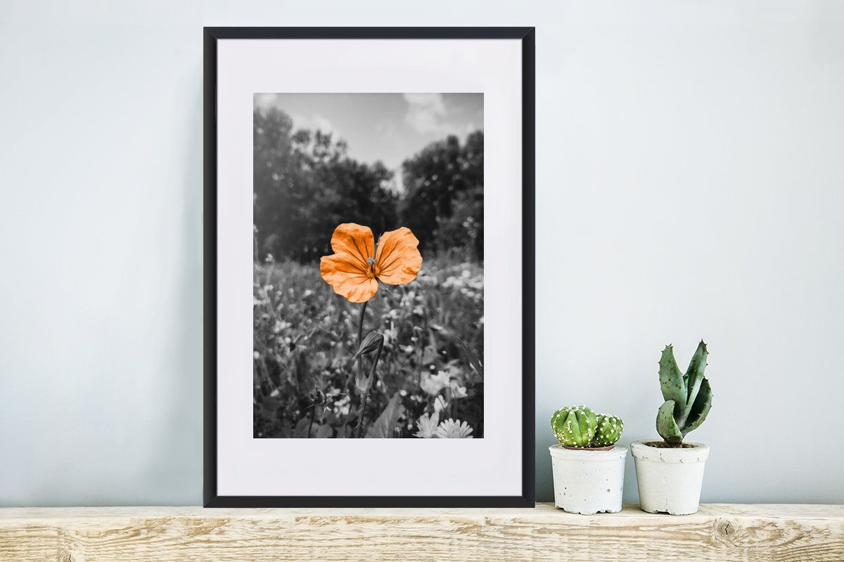 MuchoWow Poster Blumen - Schwarz St), (1 Bilderrahmen Weiß mit Rahmen, - Orange, Schwarzem Gerahmtes Kunstdruck, Poster, 