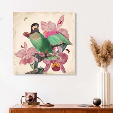 Posterlounge XXL-Wandbild Mandy Reinmuth, Exotische Papageien VIII, Wohnzimmer Orientalisches Flair Illustration