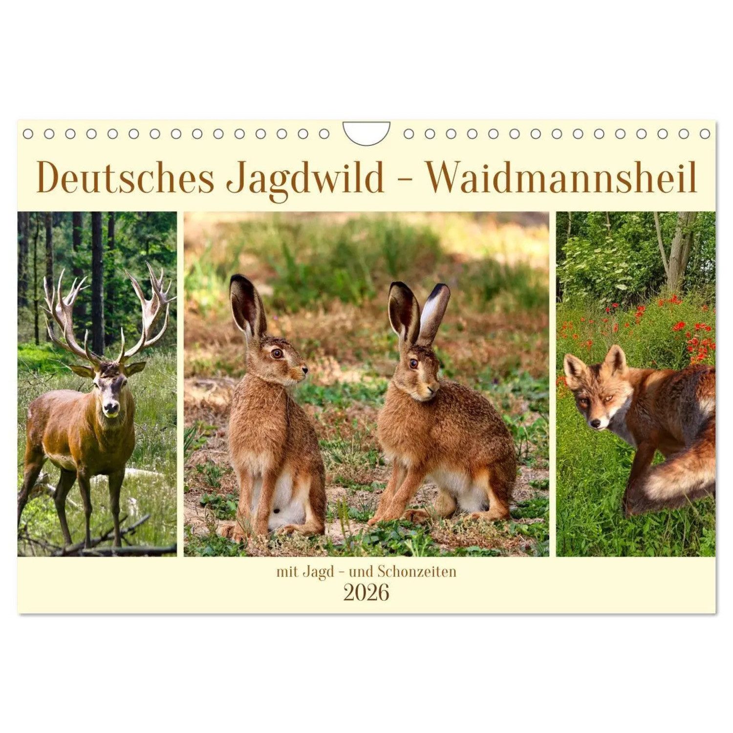 CALVENDO Wandkalender Deutsches Jagdwild - Waidmannsheil (Wandkalender 2026 DIN A4 quer),...