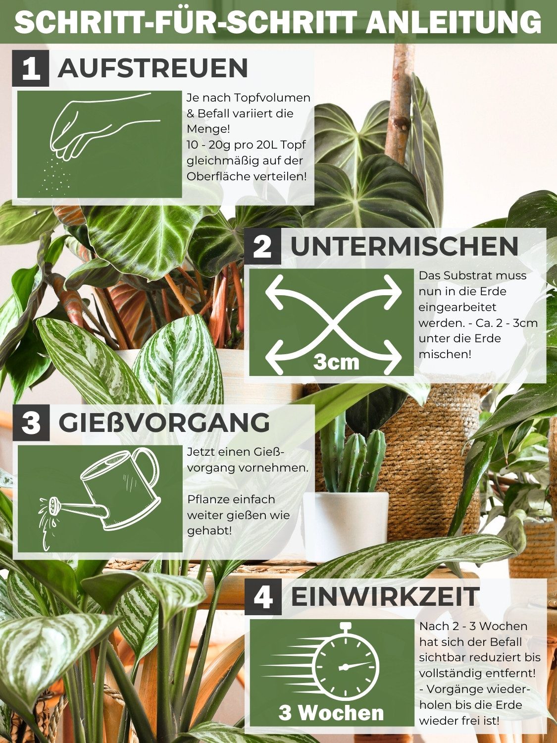 GreenPanda Insektenspray Trauermückenfrei - Pflanzenschutzmittel für Drinnen & Draußen, 40 g, 1-St., 100% pflanzlich! – Bild 3 von 5