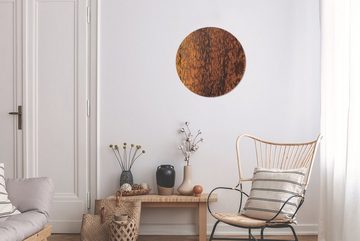 MuchoWow Gemälde Rost - Braun - Orange - Metall - Muster - Struktur, (1 St), Kreis Wanddekoration Forex, Rundes Wandbild, Wohnzimmer, 30x30 cm