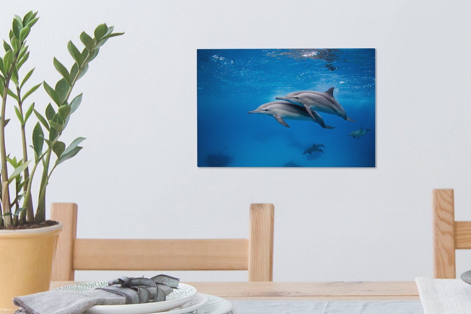 Leinwandbilder, (1 Delfin - Leinwandbild Aufhängefertig, Wandbild Meer Ägypten, OneMillionCanvasses® Wanddeko, St), cm 30x20 -