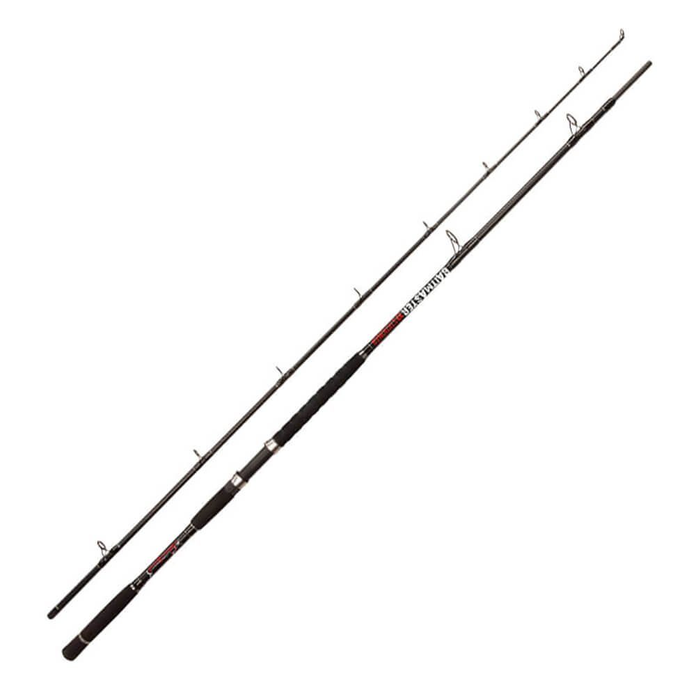 Jenzi Karpfenrute Jenzi Wallerrute Baitmaster Vertical 100-250g