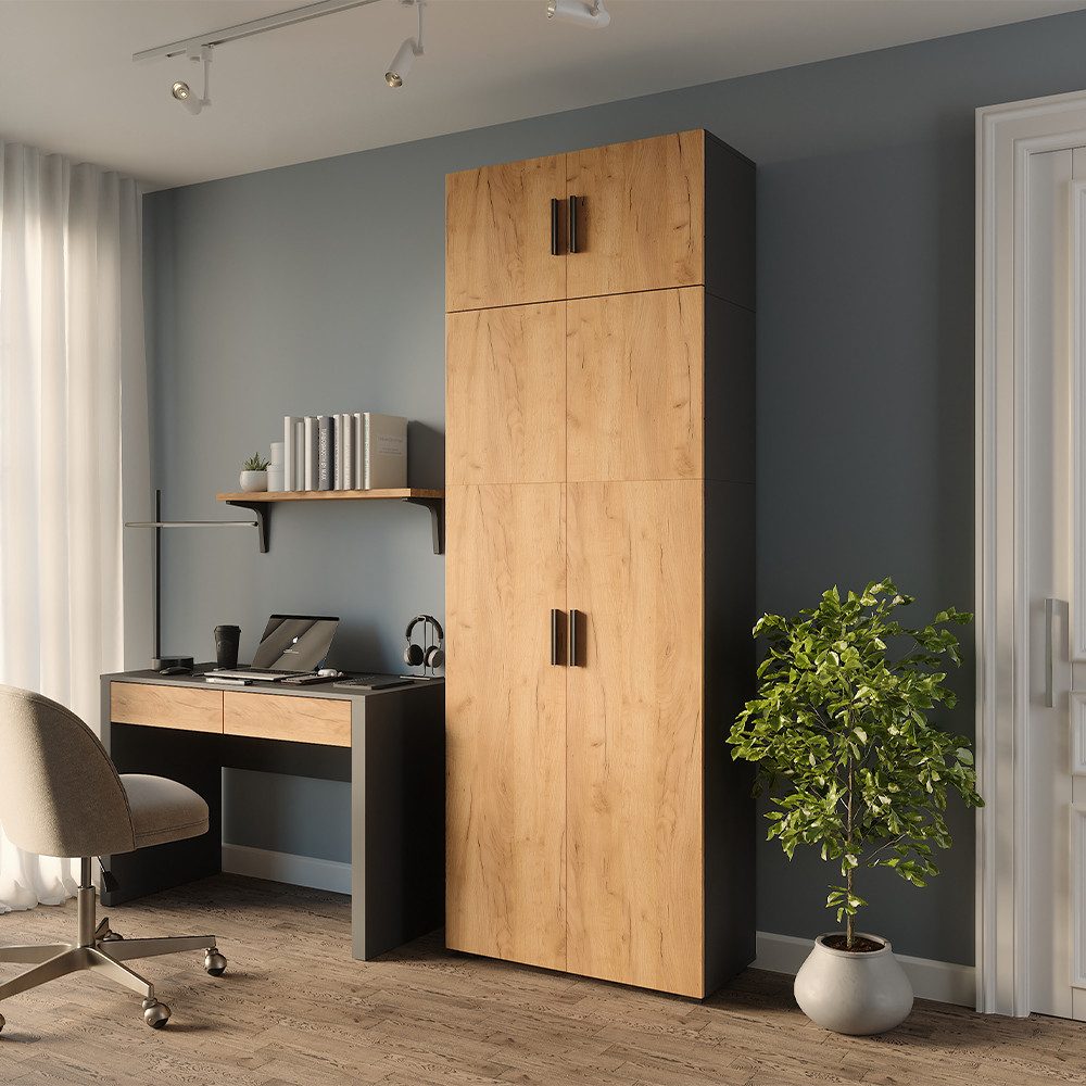 Vicco Aktenschrank Frank, Anthrazit/Goldkraft Eiche, 80 x 223.8 cm mit Schrankaufsatz (1-St)