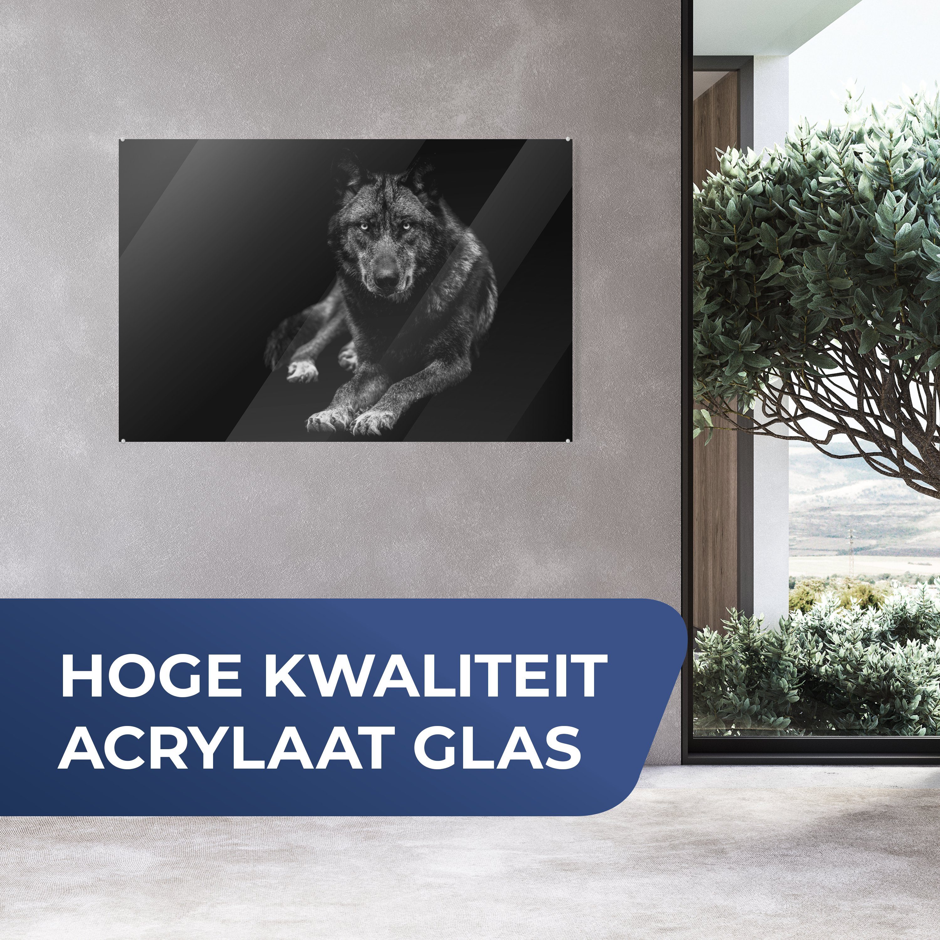 MuchoWow Acrylglasbild Tiere - Wolf - günstig online kaufen