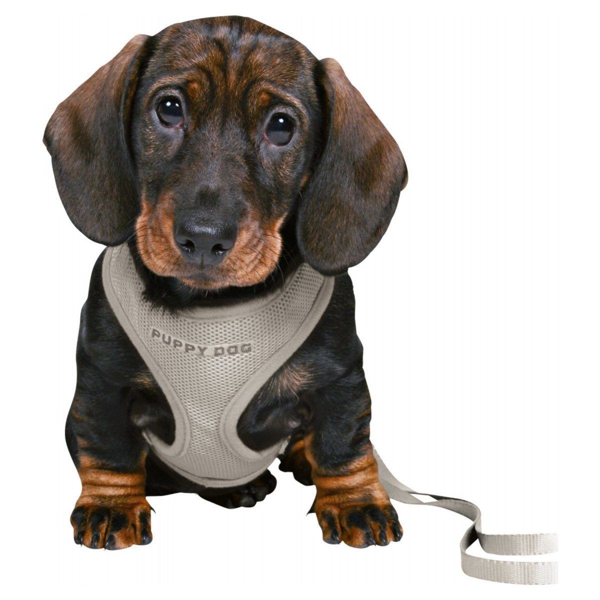 TRIXIE Hunde-Geschirr Junior Welpen-Softgeschirr mit Leine günstig online kaufen