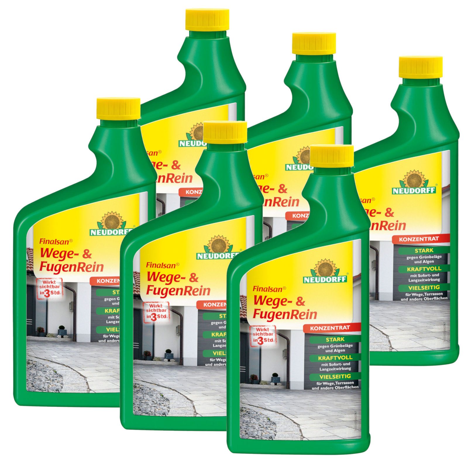 Unkrautbekämpfungsmittel Finalsan Wege- und FugenRein 6x 1 Liter