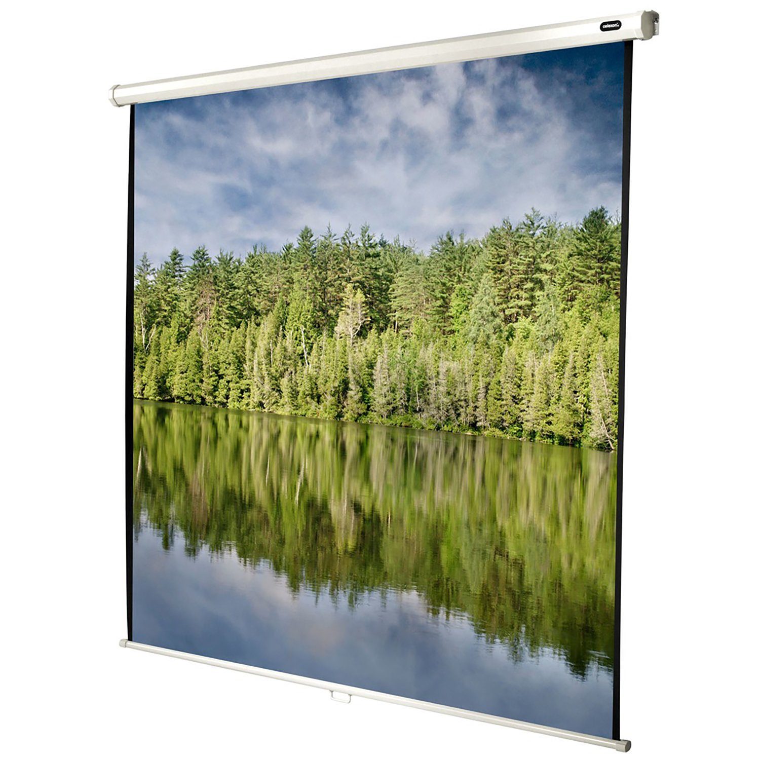 Celexon Economy Rolloleinwand (schwarze Rückseite)