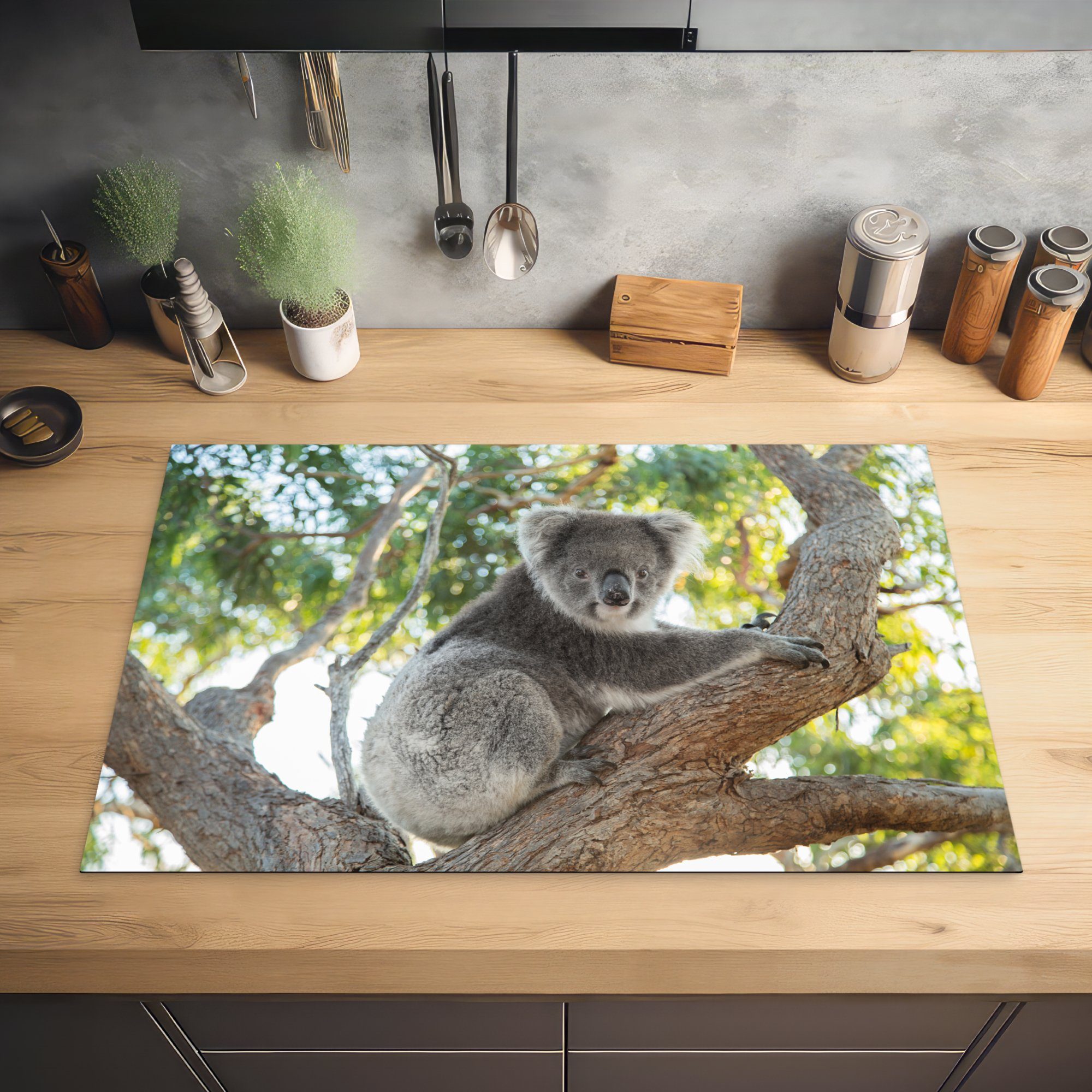 Vinyl, MuchoWow 81x52 Ceranfeldabdeckung Induktionskochfeld auf einem cm, tlg), sitzt Koala küche, die Herdblende-/Abdeckplatte Schutz Baum, für (1