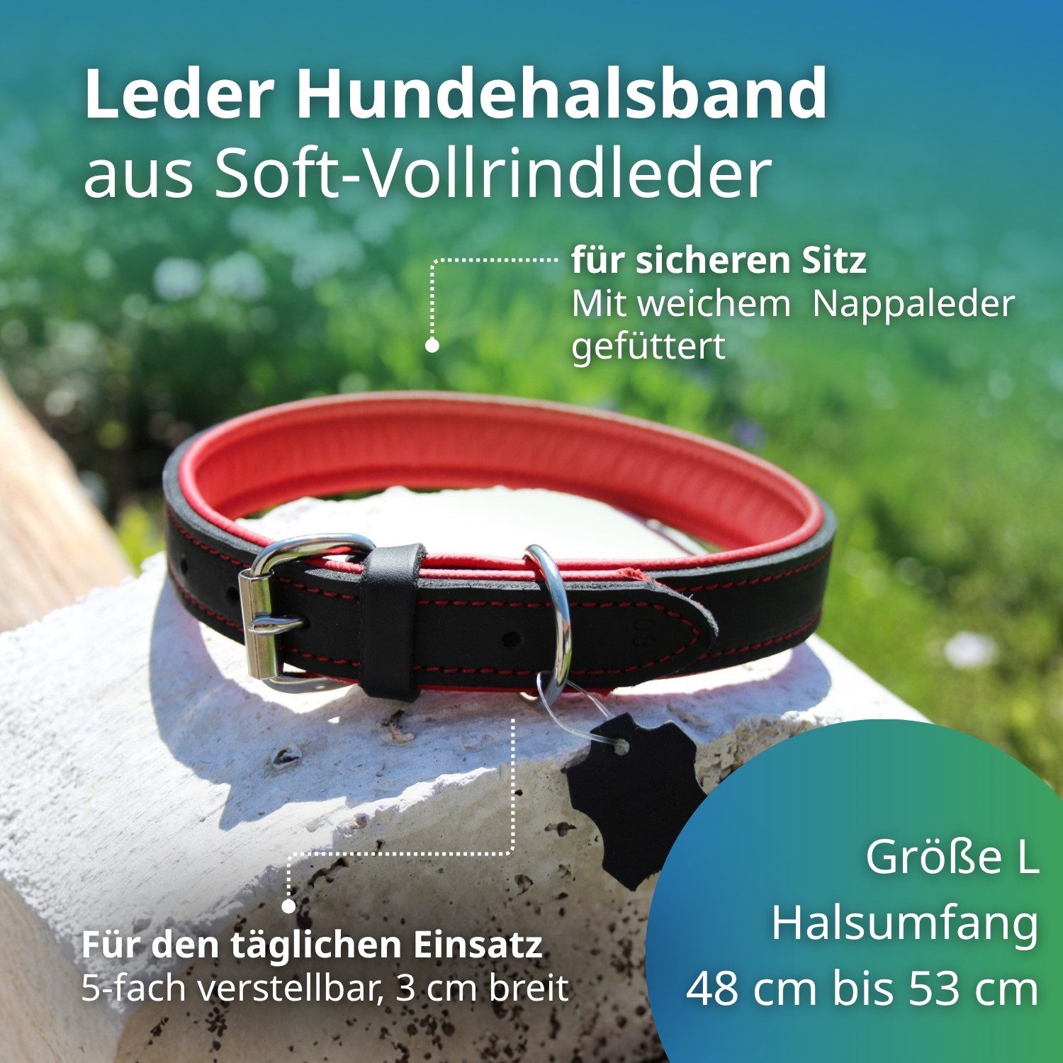 Activity4Dogs Hunde-Halsband große Hunde, Echtleder, 5-fach verstellbar, 4 Größen, verschiedene Farben, Größe M bis XL, jeweils 5-fach verstellbar