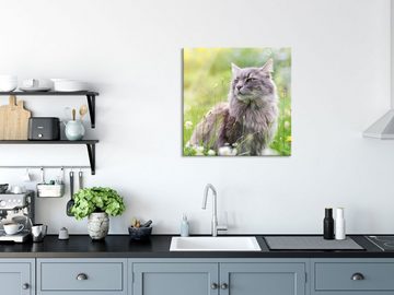 Pixxprint Glasbild Katze in der Wildnis, Katze in der Wildnis (1 St), Glasbild aus Echtglas, inkl. Aufhängungen und Abstandshalter