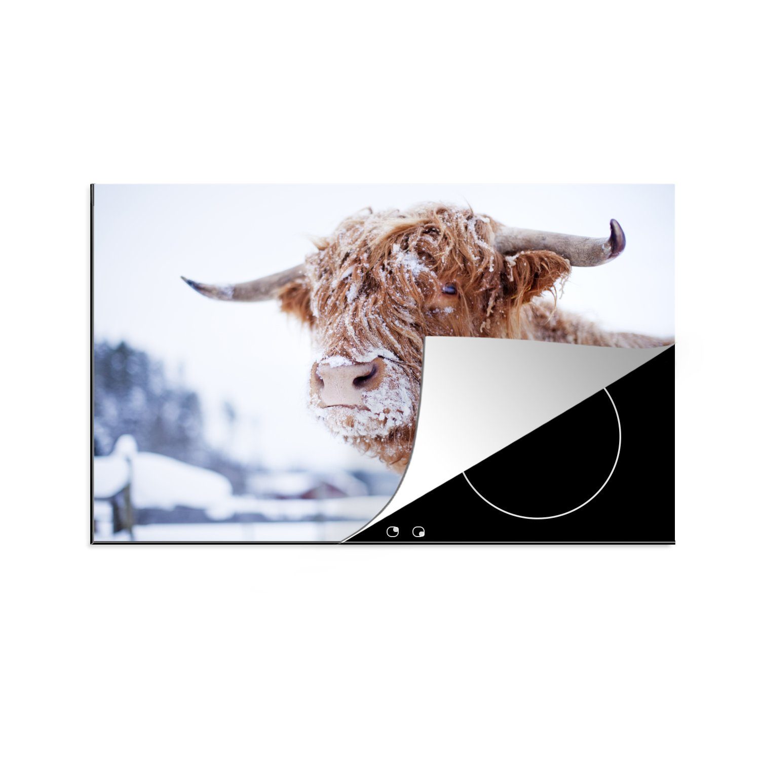 - 81x52 Schnee Highlander küche, Schutz (1 für die Vinyl, Herdblende-/Abdeckplatte tlg), - Winter, Ceranfeldabdeckung MuchoWow Schottischer Induktionskochfeld cm,